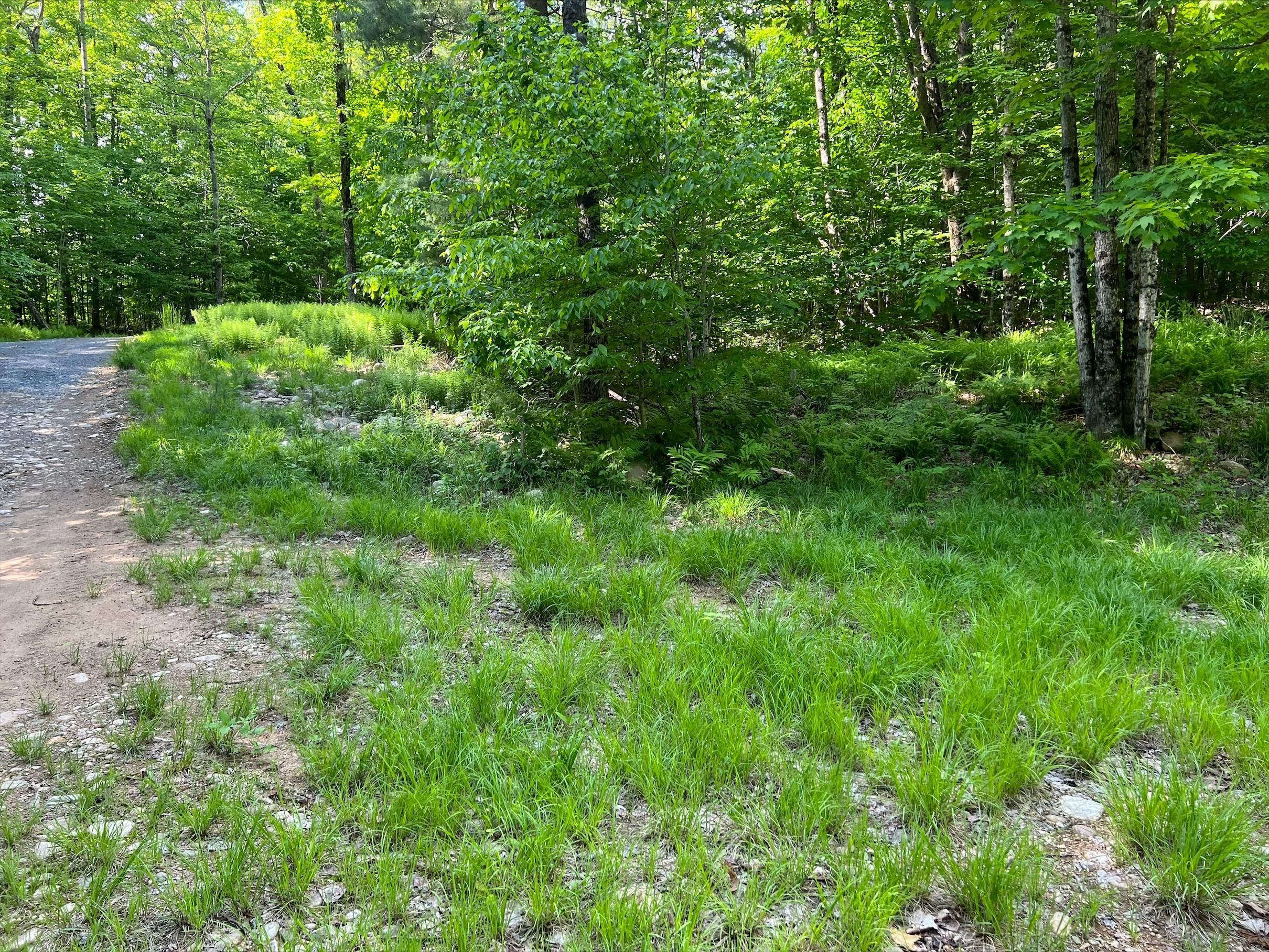 2.58 acres in Lewis County, New York