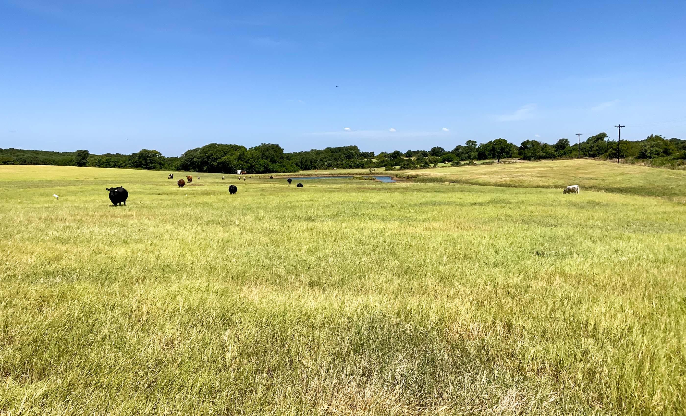 313 acres in Blum, TX, 76627