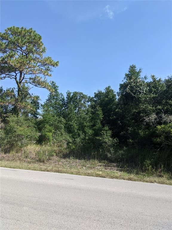 4.5 acres in Pasco County, Florida