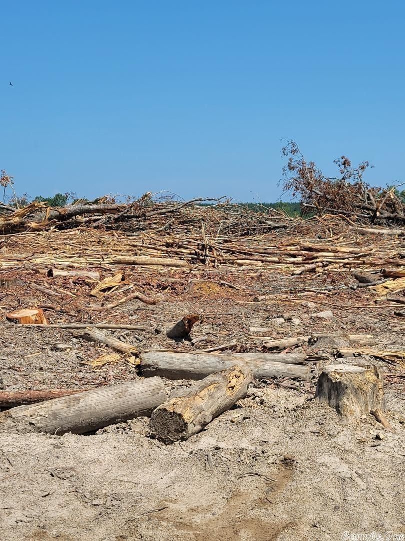 40 acres in Jefferson County, Arkansas