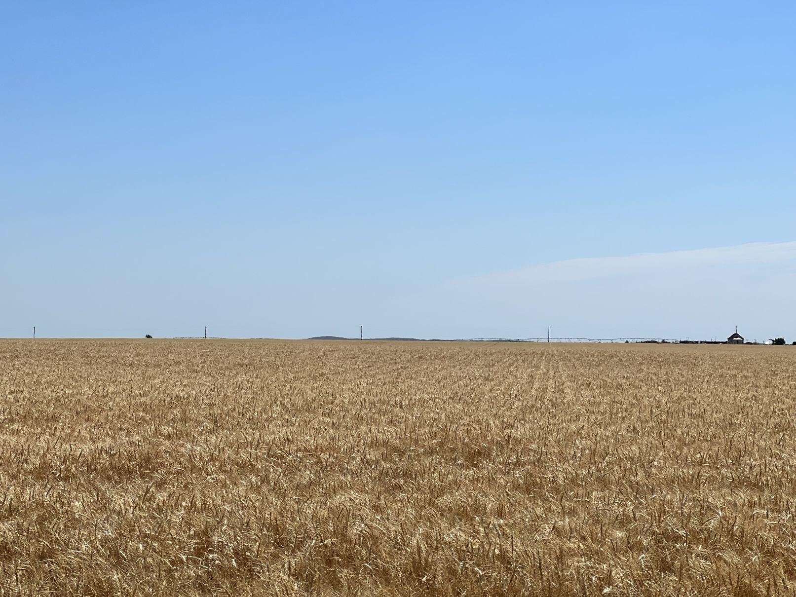 318 acres in Yuma County, Colorado