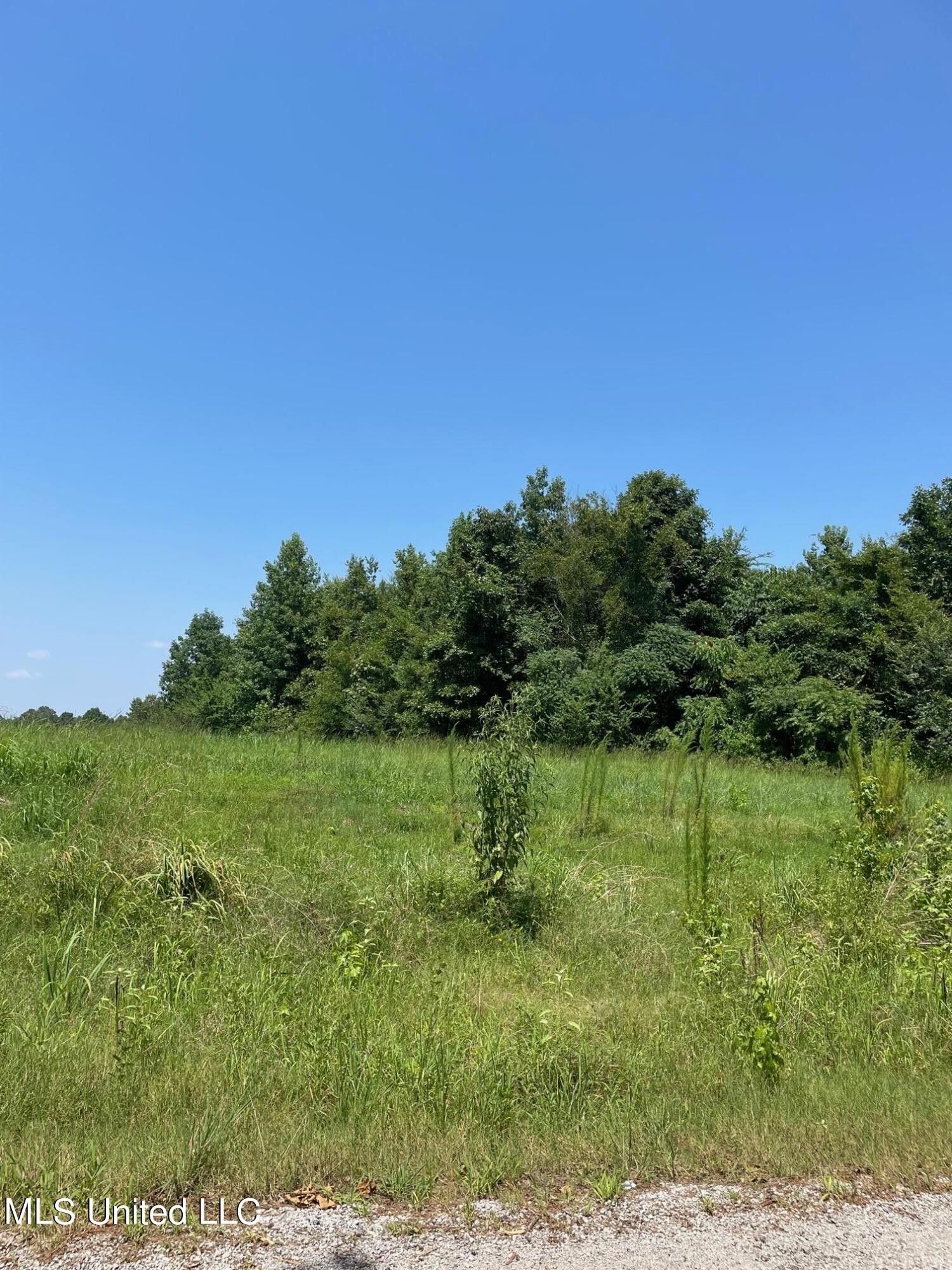 7.8 acres in Panola County, Mississippi