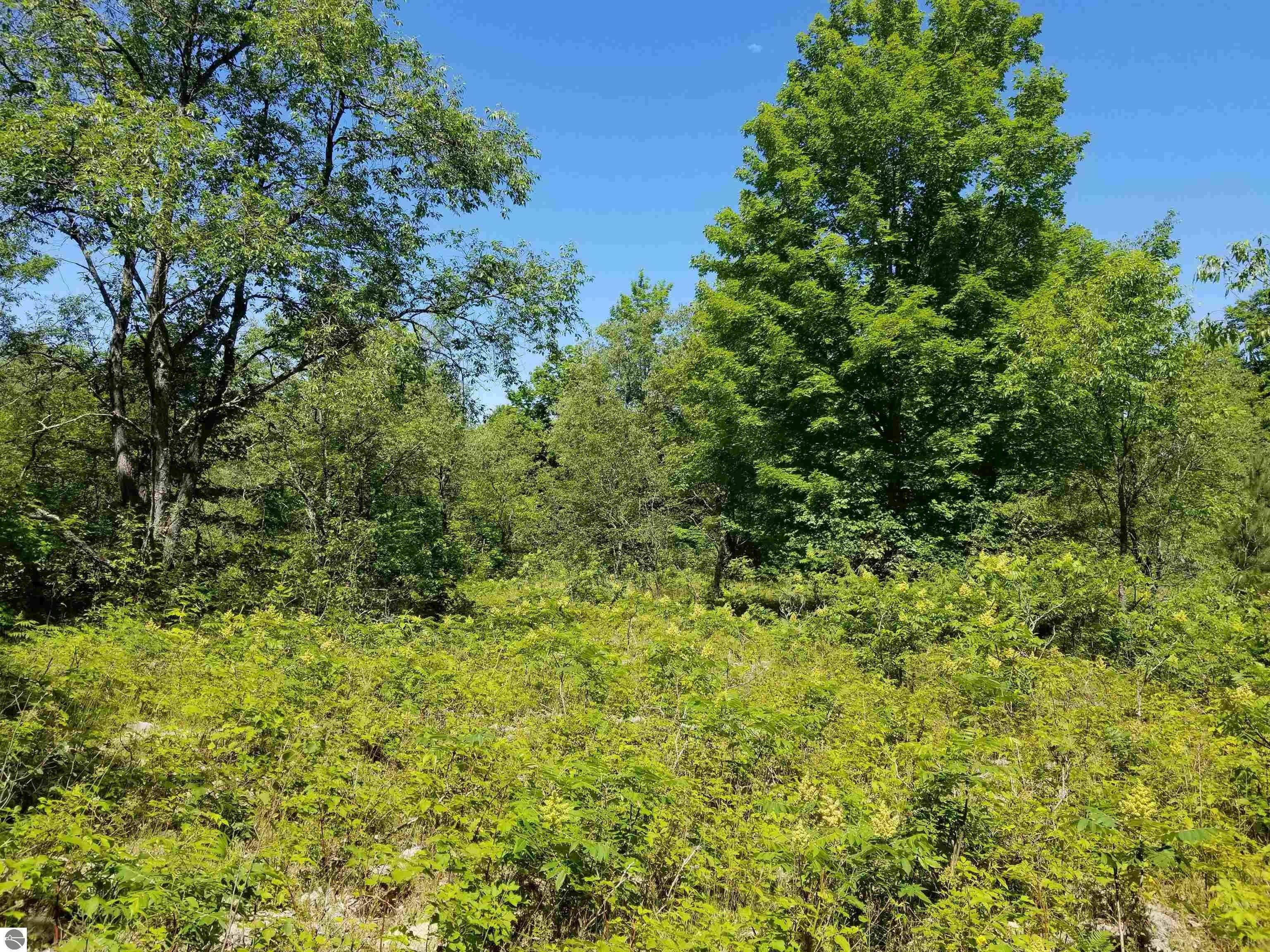 10 acres in Antrim County, Michigan