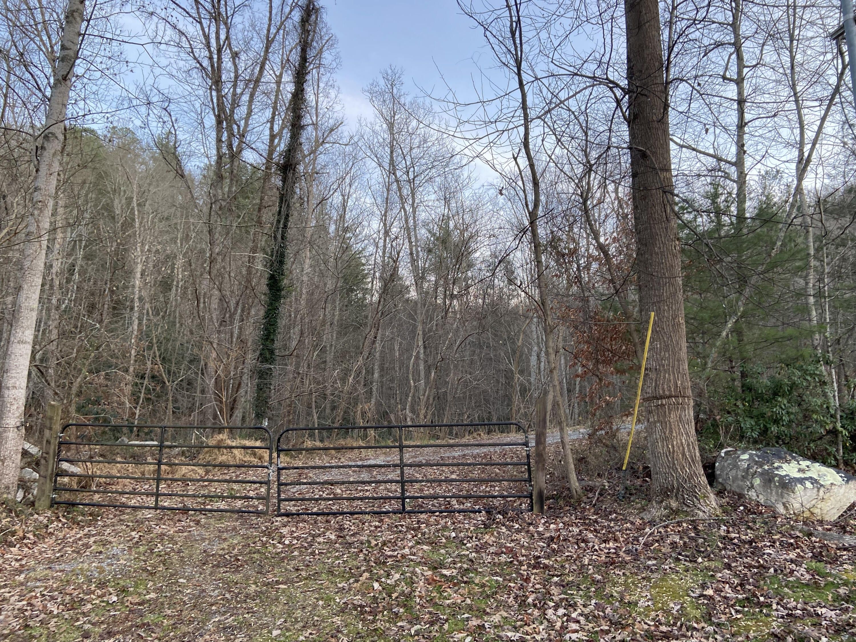 169.82 acres in Unicoi County, Tennessee