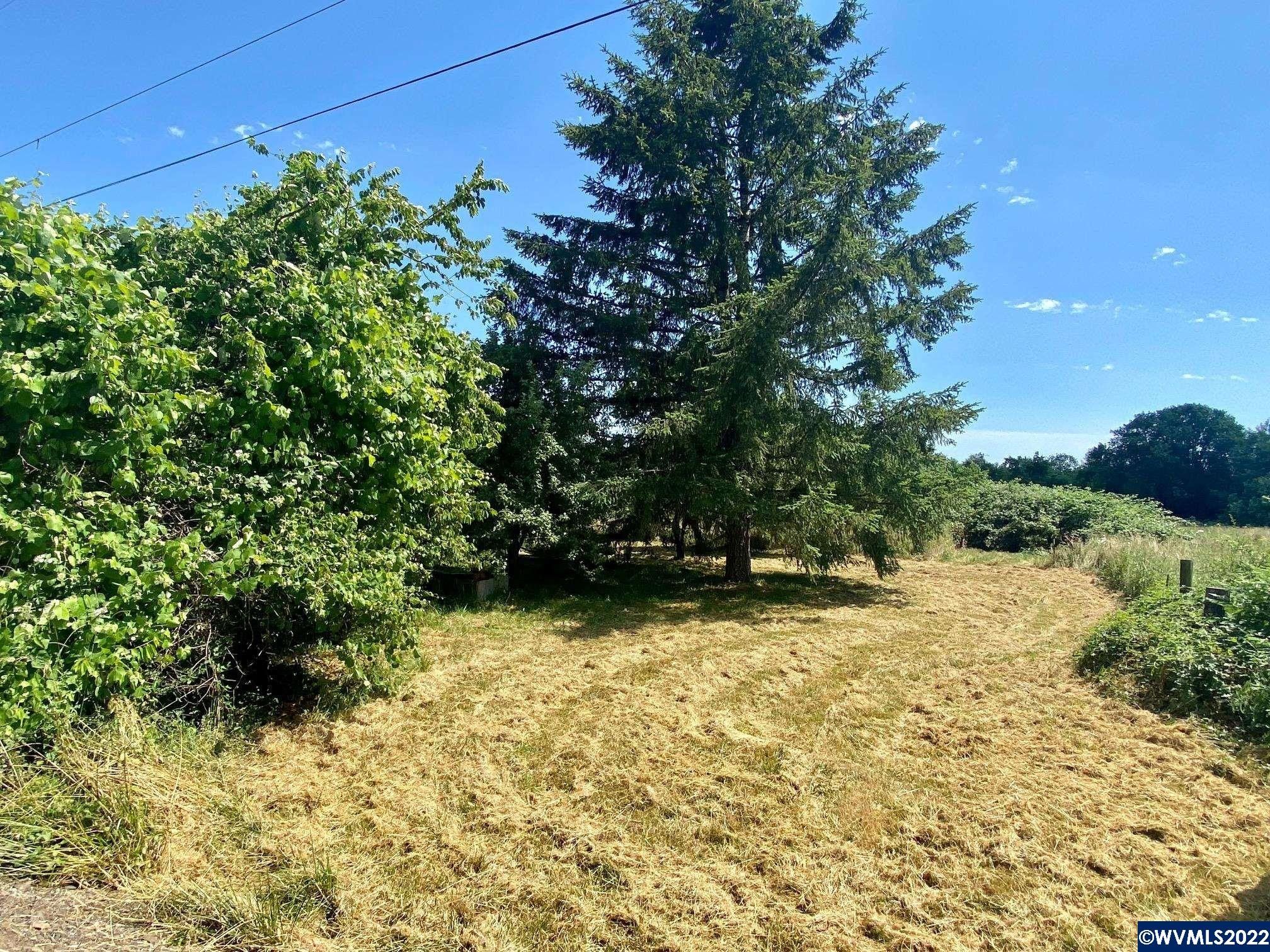 9.03 acres in Linn County, Oregon