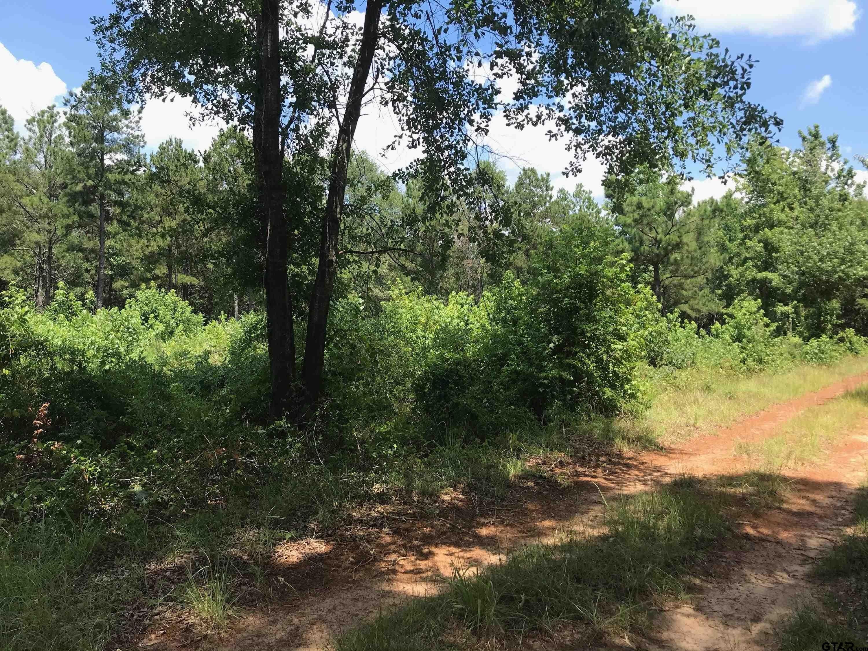 7 acres in Wood County, Texas