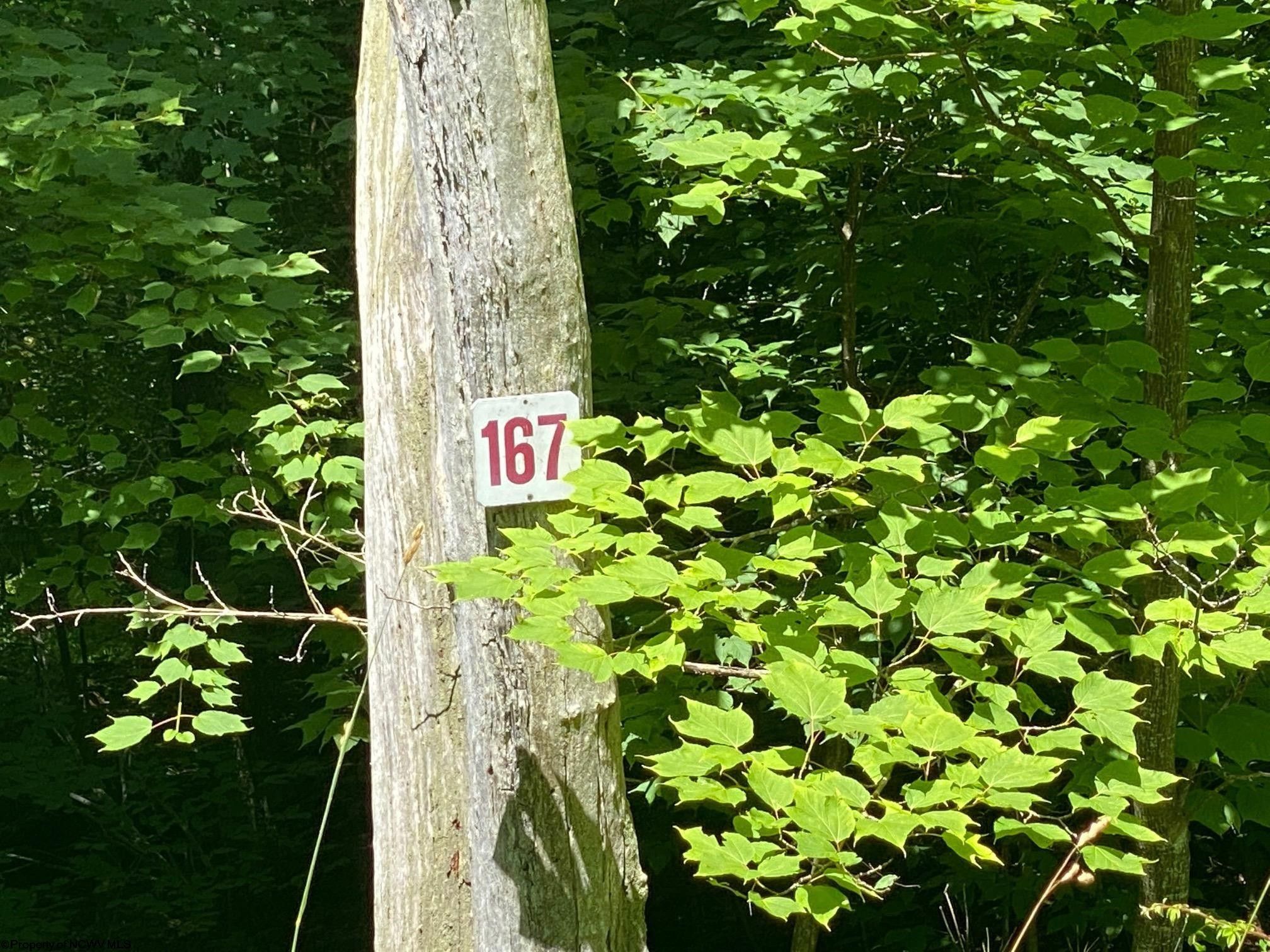 2.4 acres in Tucker County, West Virginia