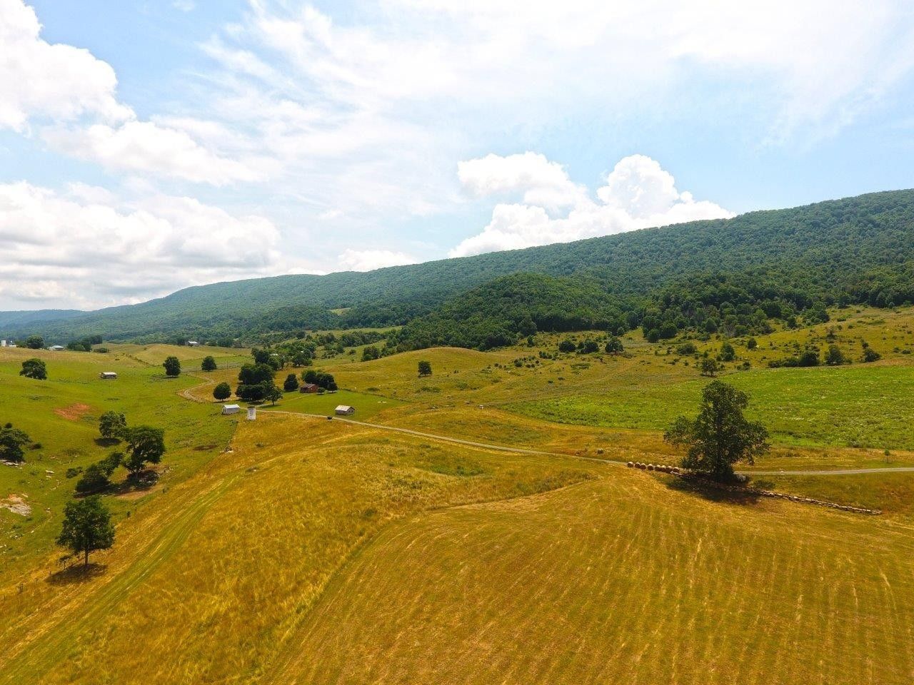 583 acres in Bland County, Virginia