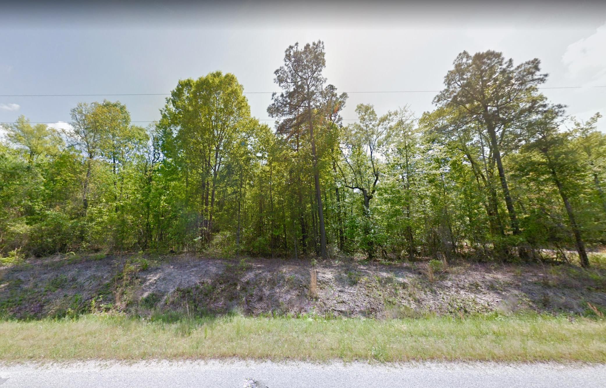 1.9 acres in Calhoun County, South Carolina