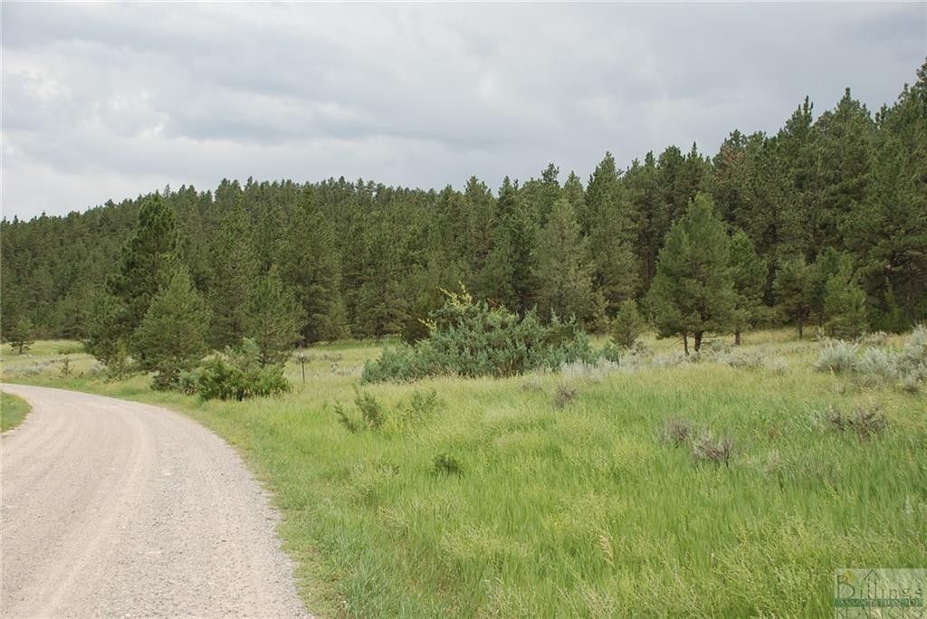 20 acres in Stillwater County, Montana
