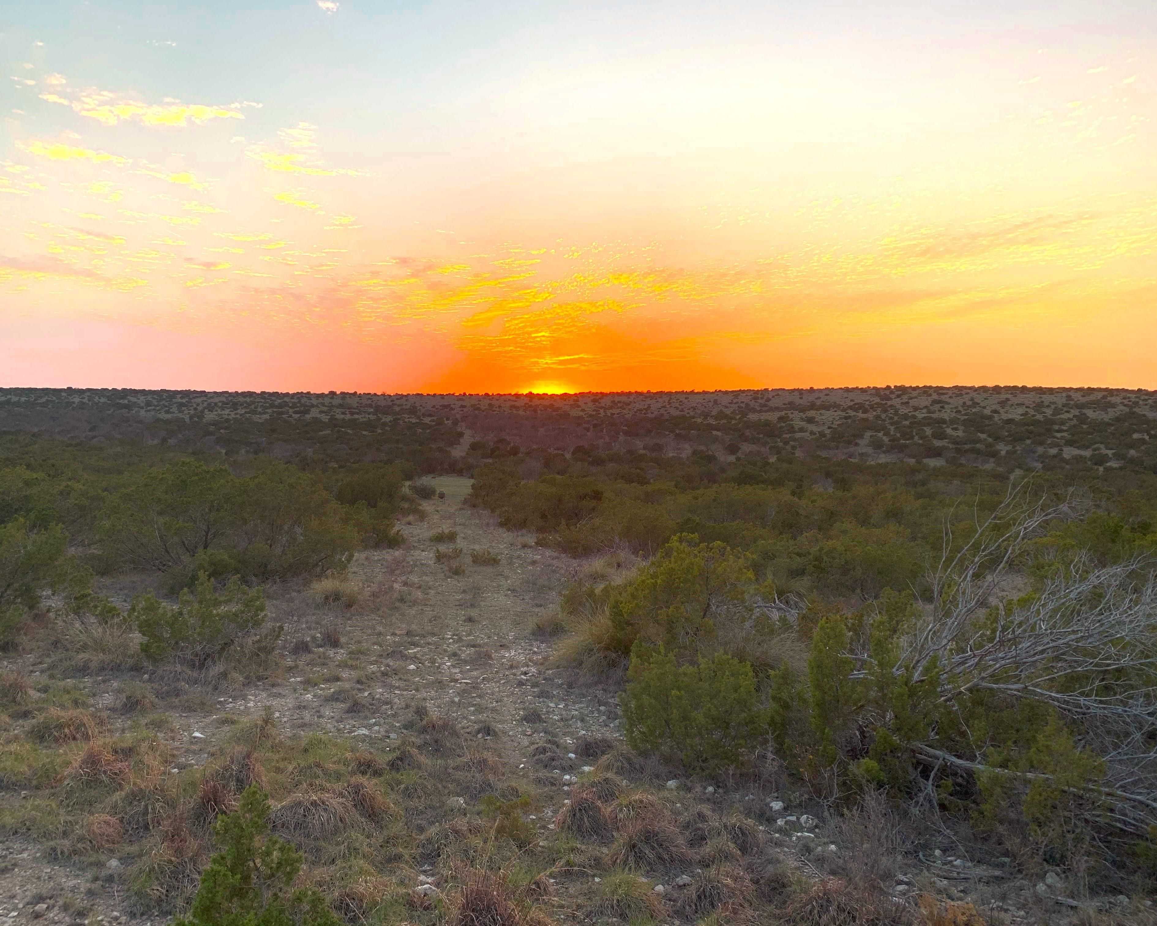 260 acres in Mertzon, TX, 76941