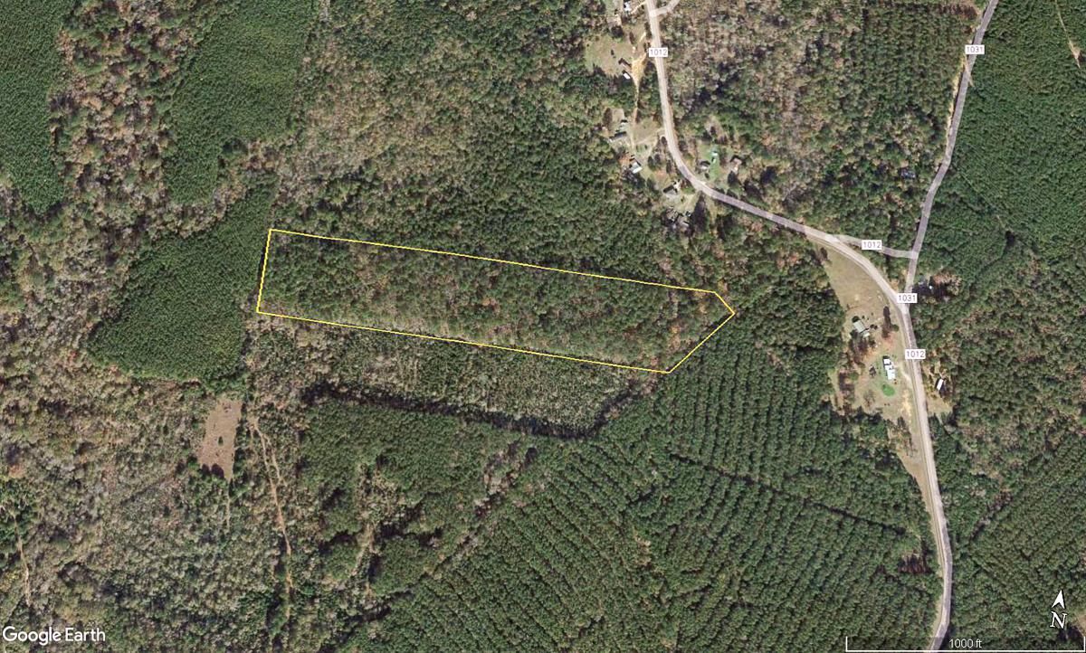 17 acres in Newton County, Texas