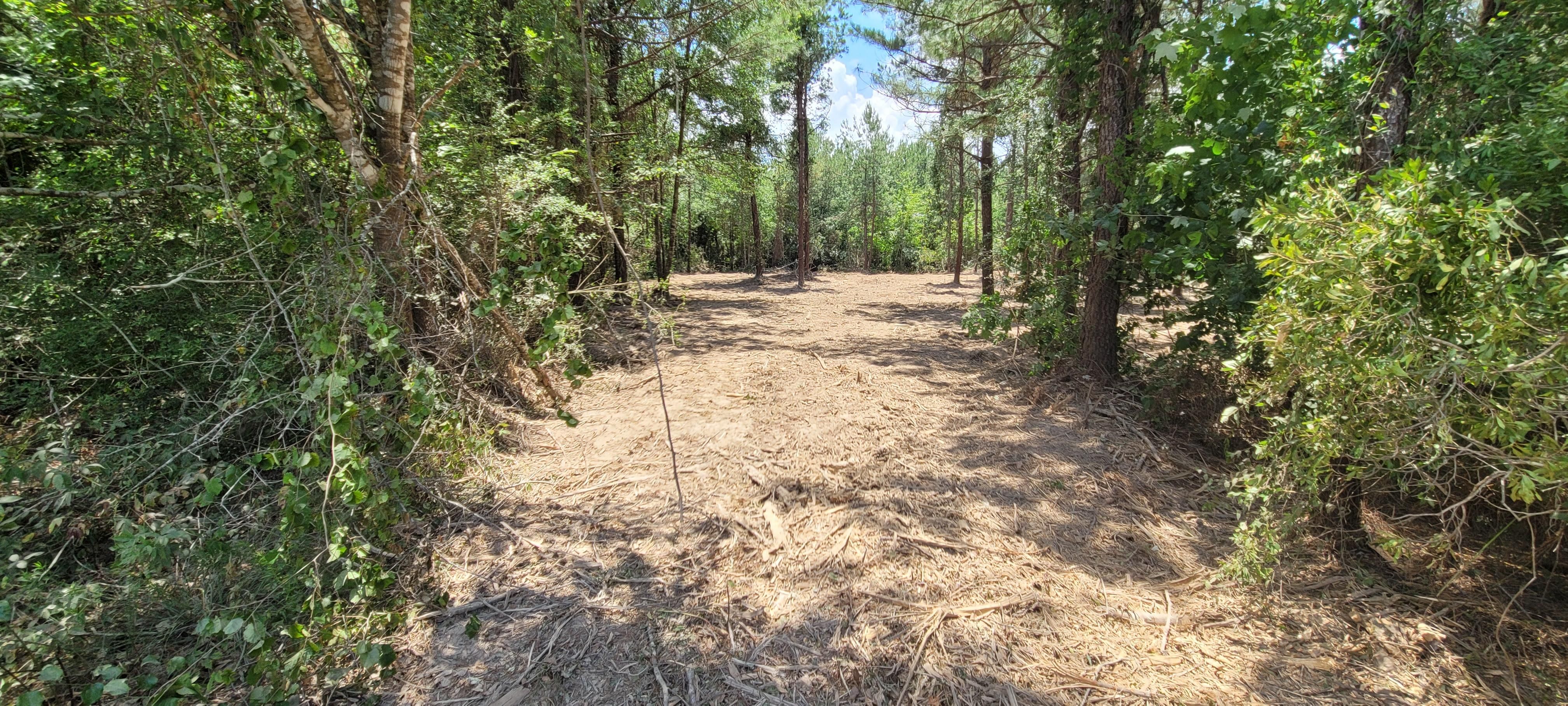 10 acres in Hardin County, Texas