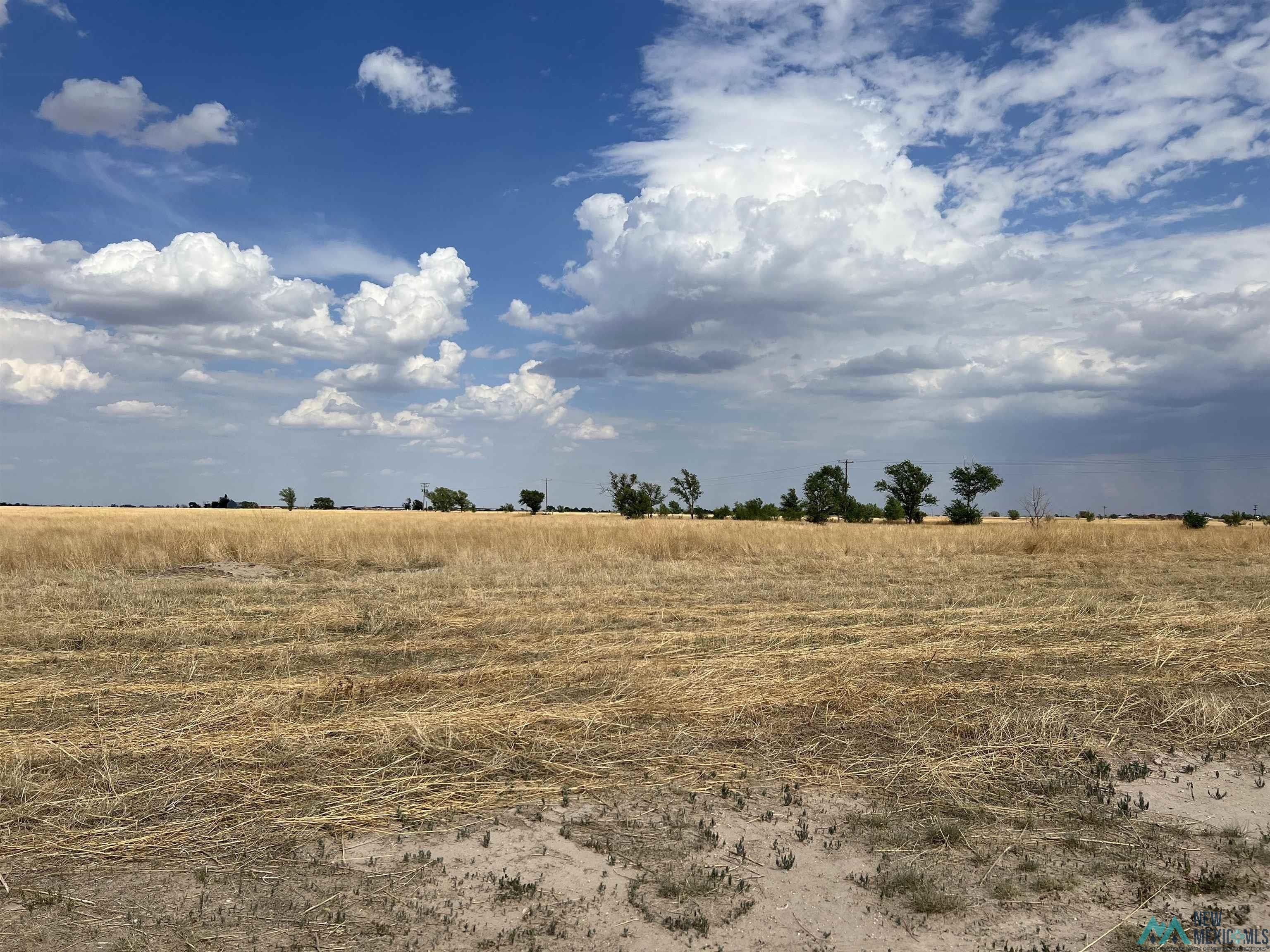 80 acres in Roosevelt County, New Mexico