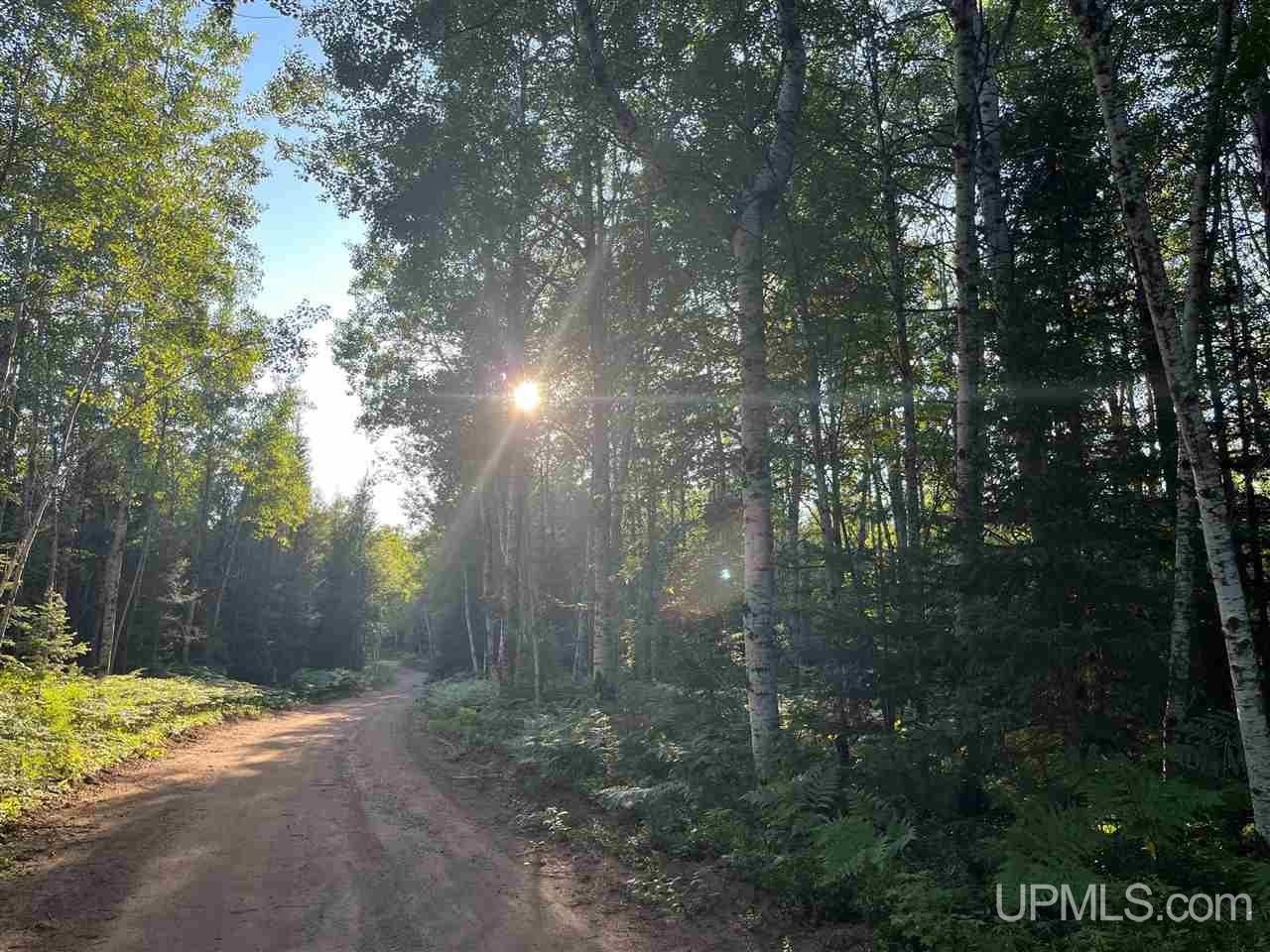 120 acres in Marquette County, Michigan