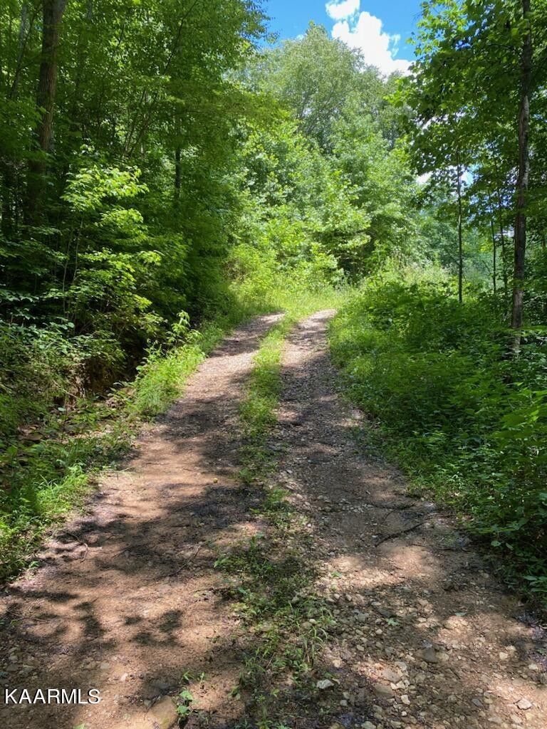 197.3 acres in Scott County, Tennessee