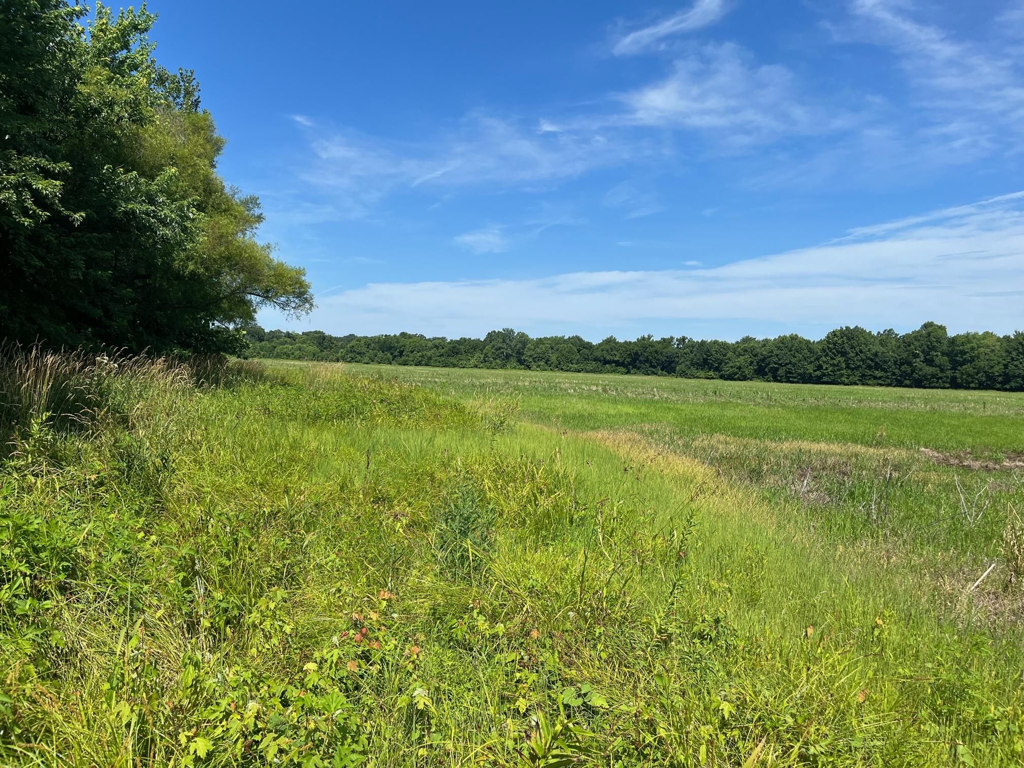 115 acres in Monroe County, Missouri