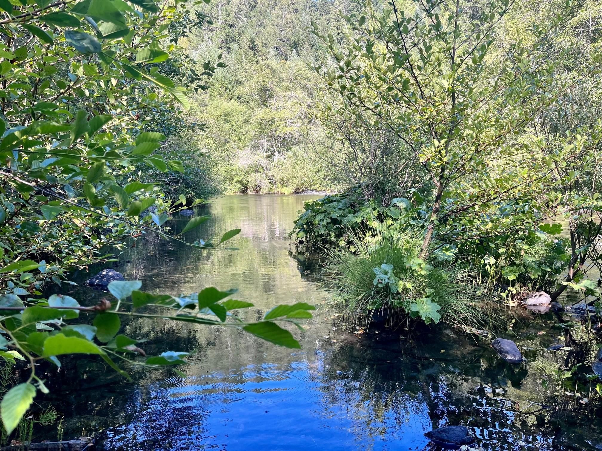 45 acres in Humboldt County, California