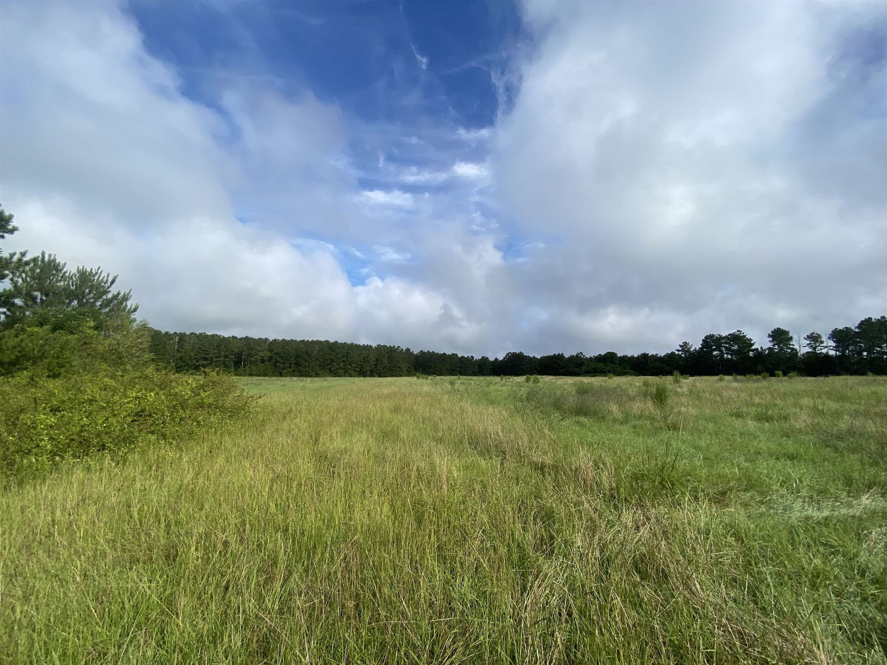 10 acres in Covington County, Alabama