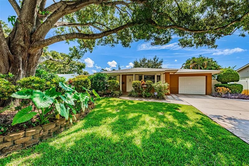 0.18 acres in Pinellas County, Florida