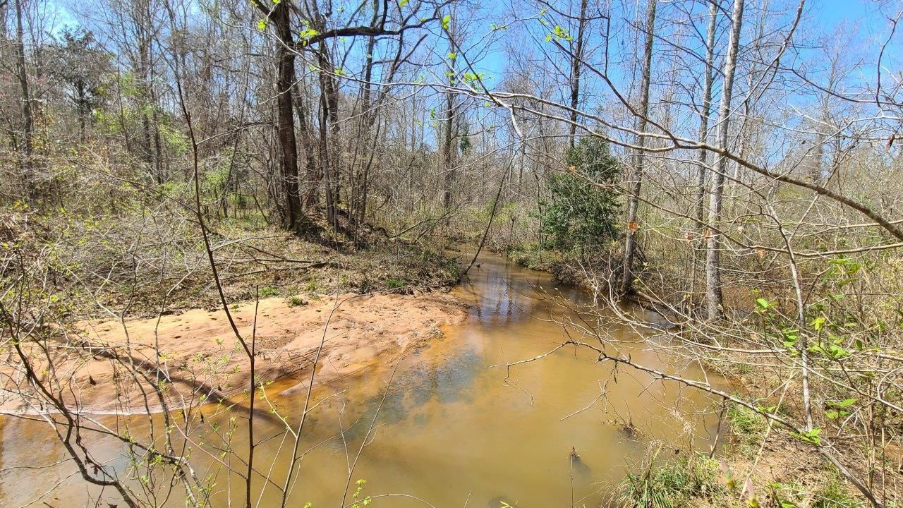 1,028 acres in Barbour County, Alabama