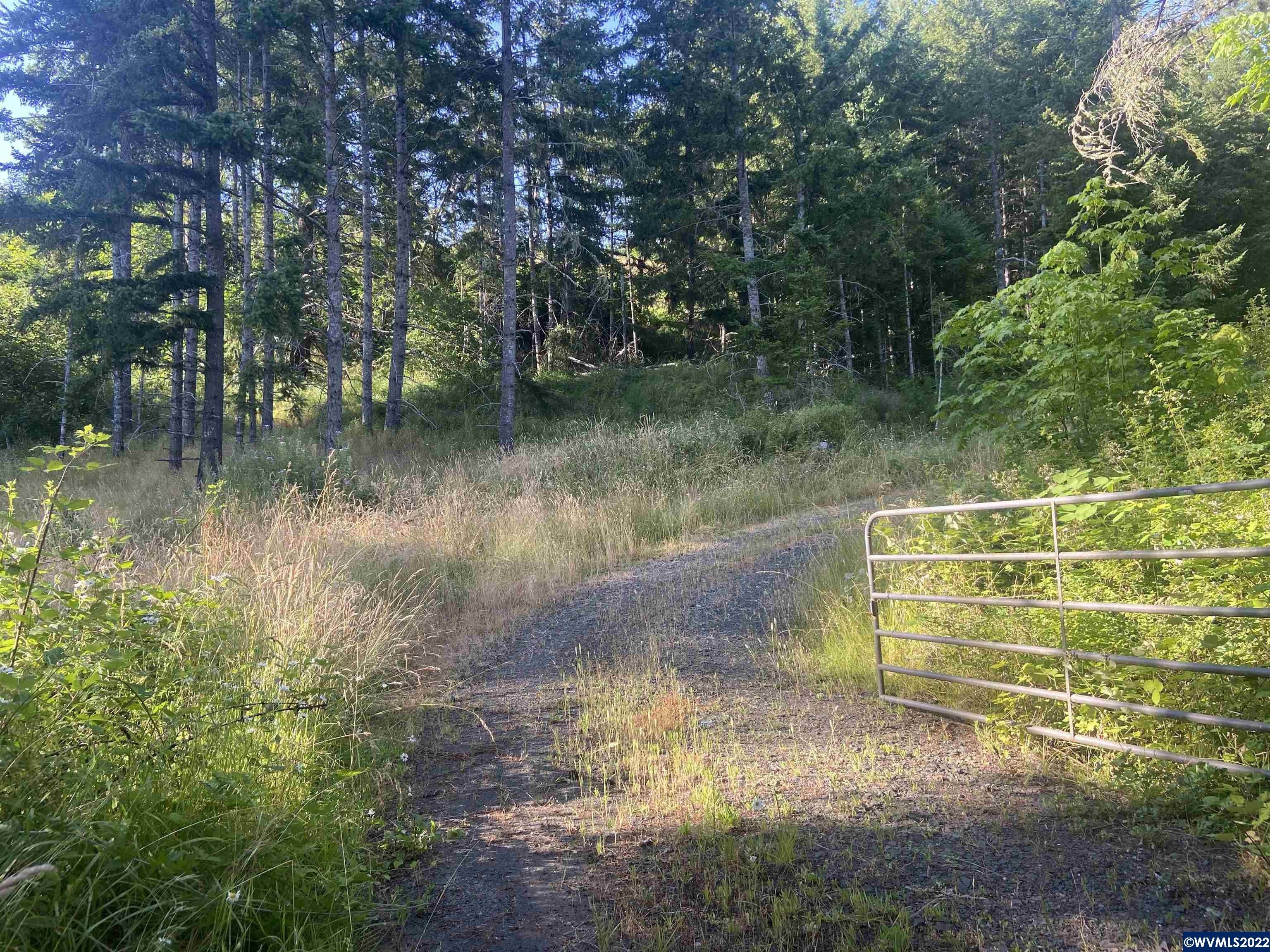 20 acres in Polk County, Oregon