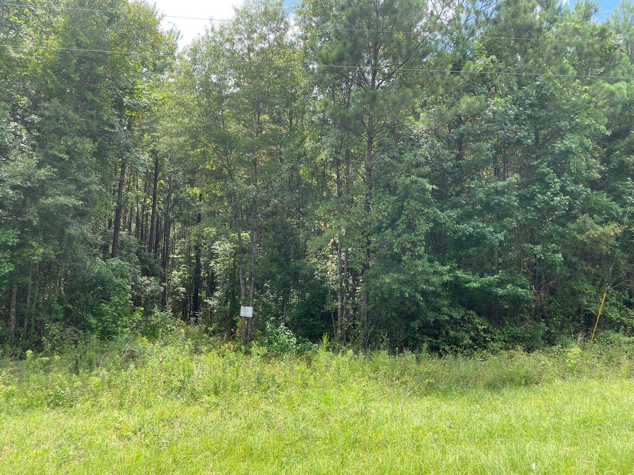 12 acres in Sabine County, Texas