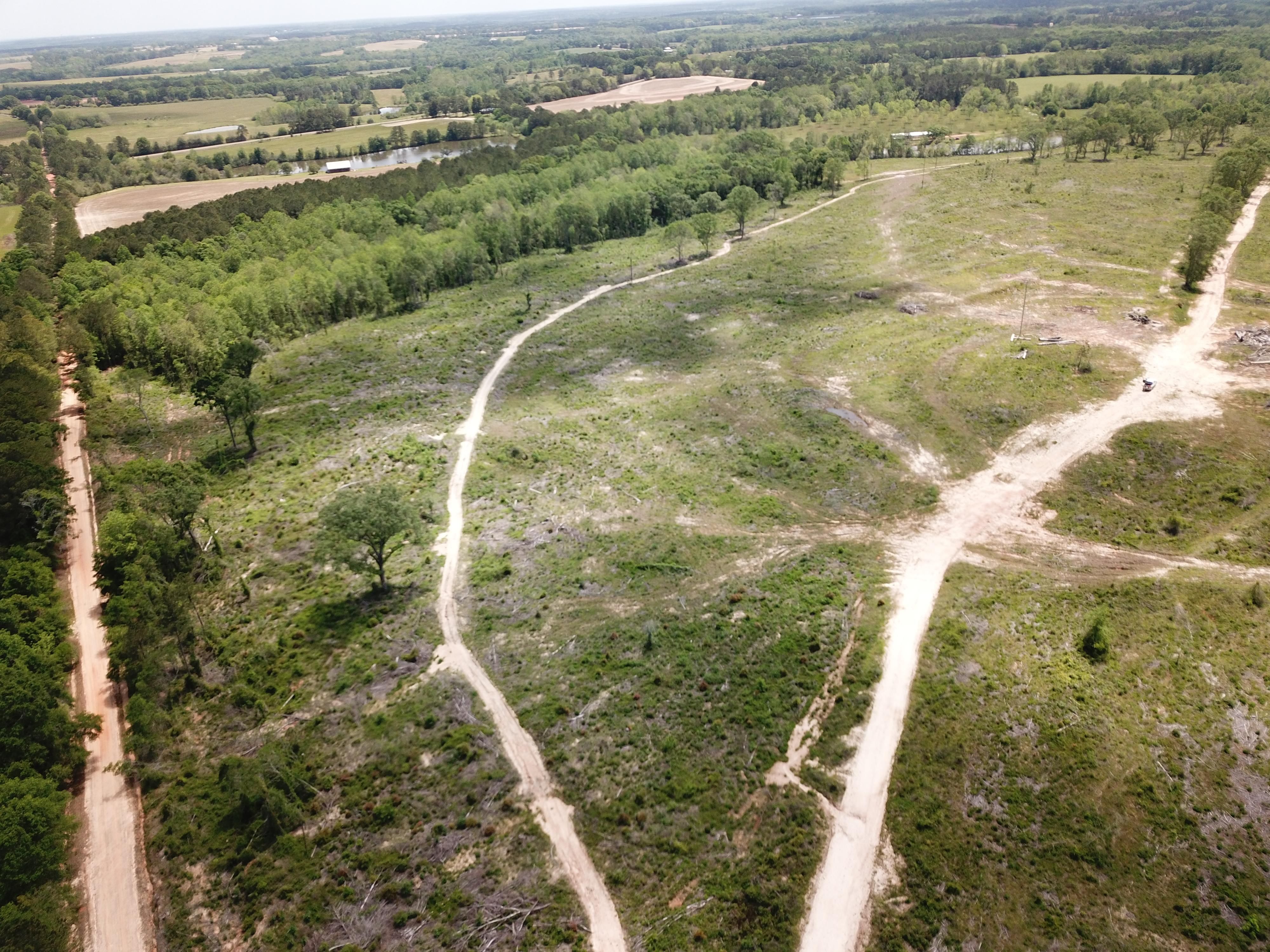 120 acres in Coffee County, Alabama