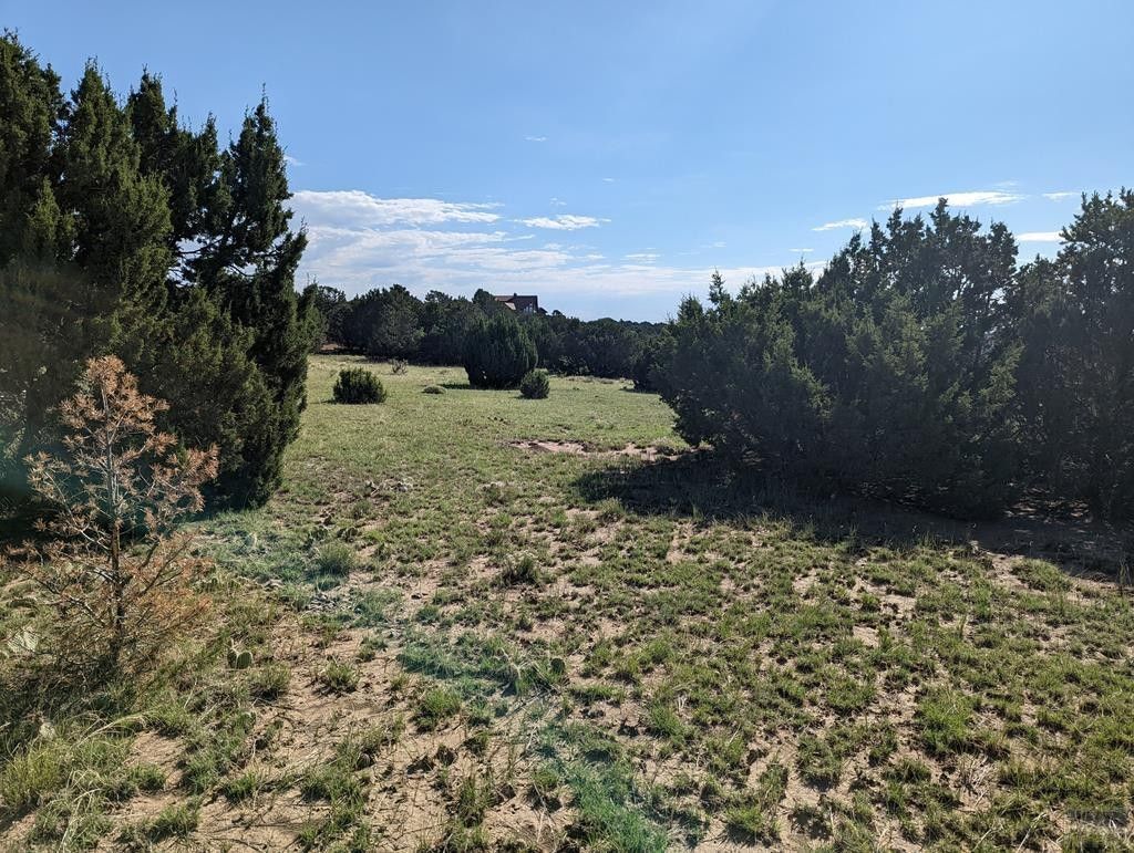 36.72 acres in Huerfano County, Colorado