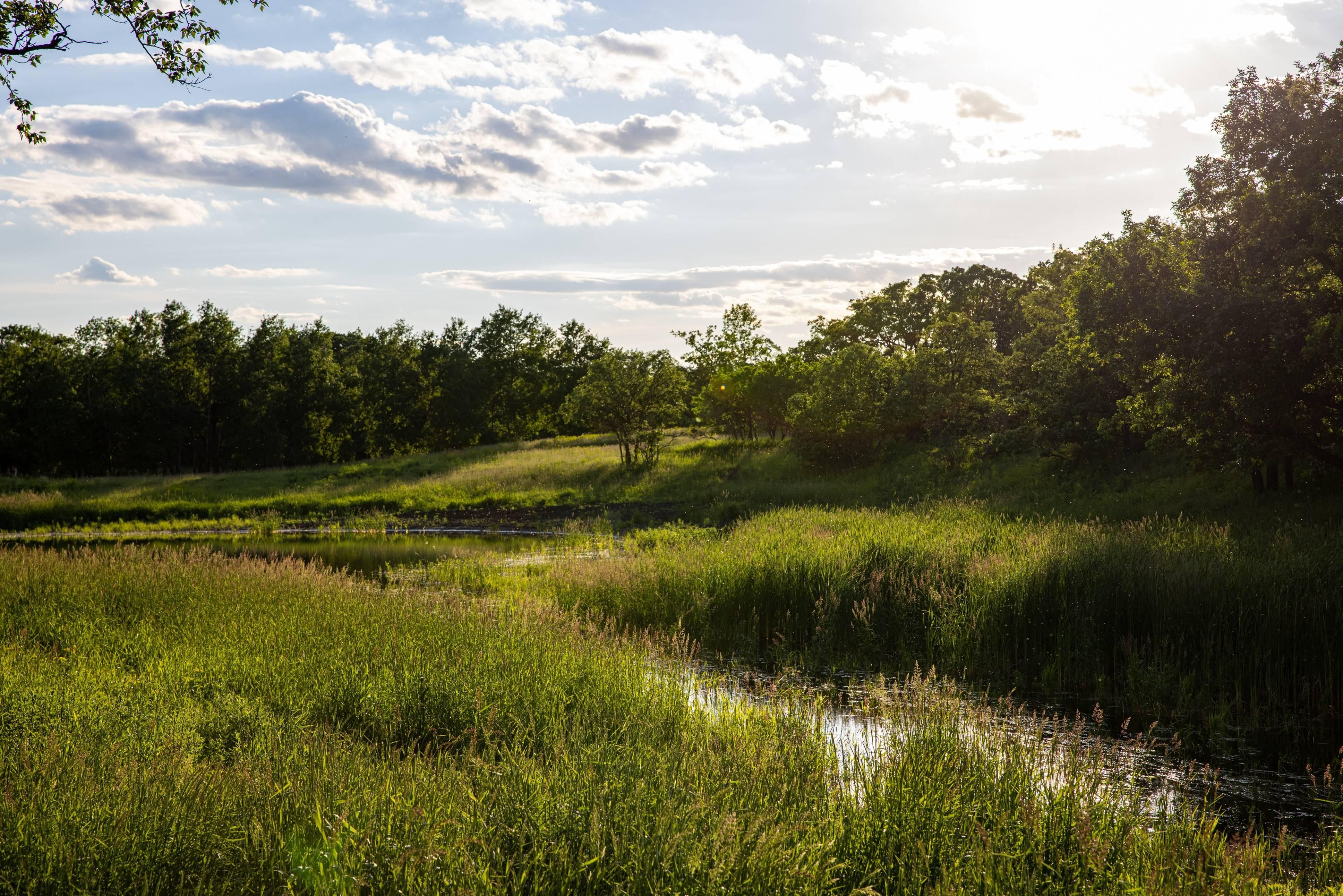9.8 acres in Bottineau County, North Dakota