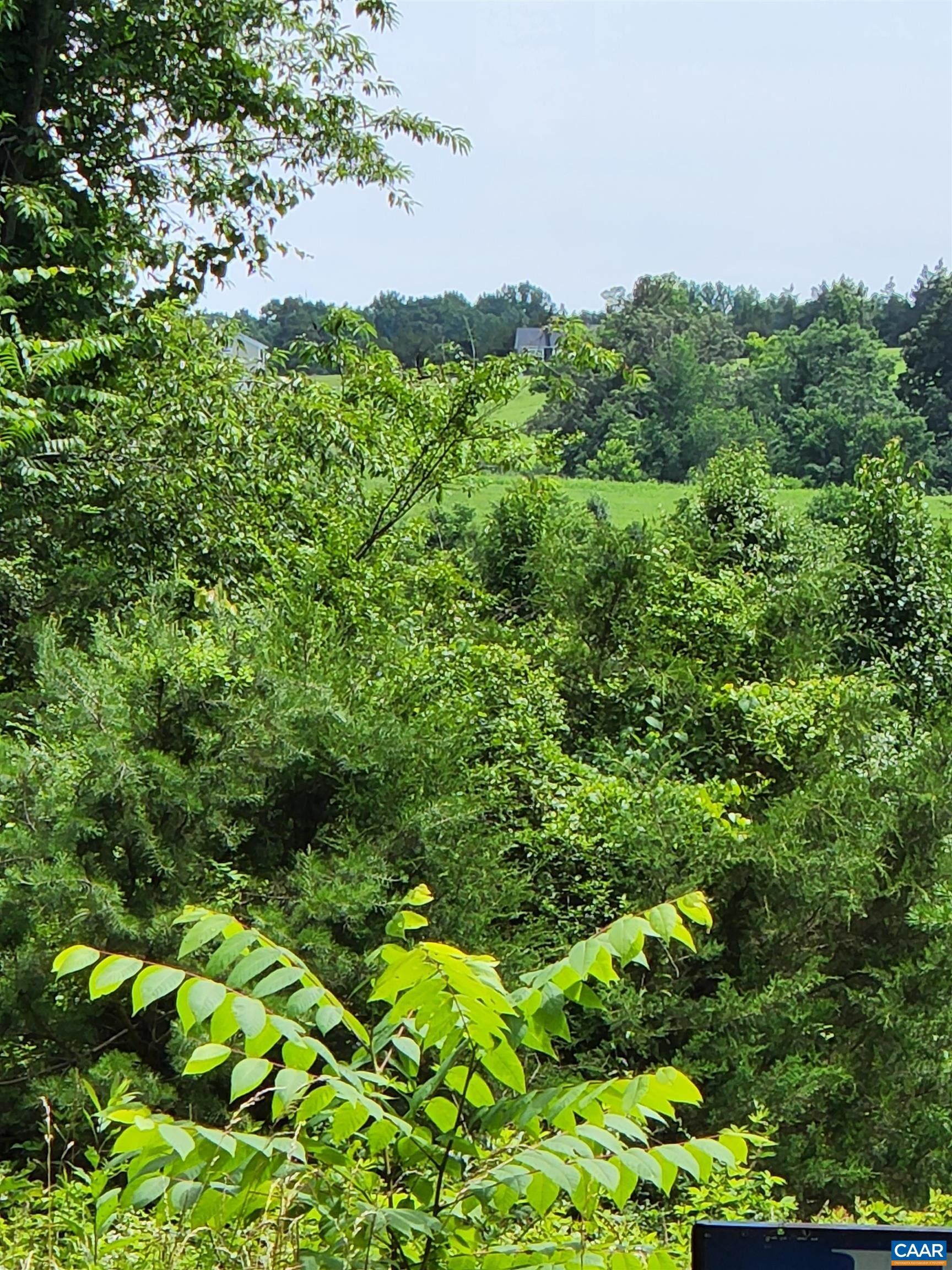 3.39 acres in Greene County, Virginia