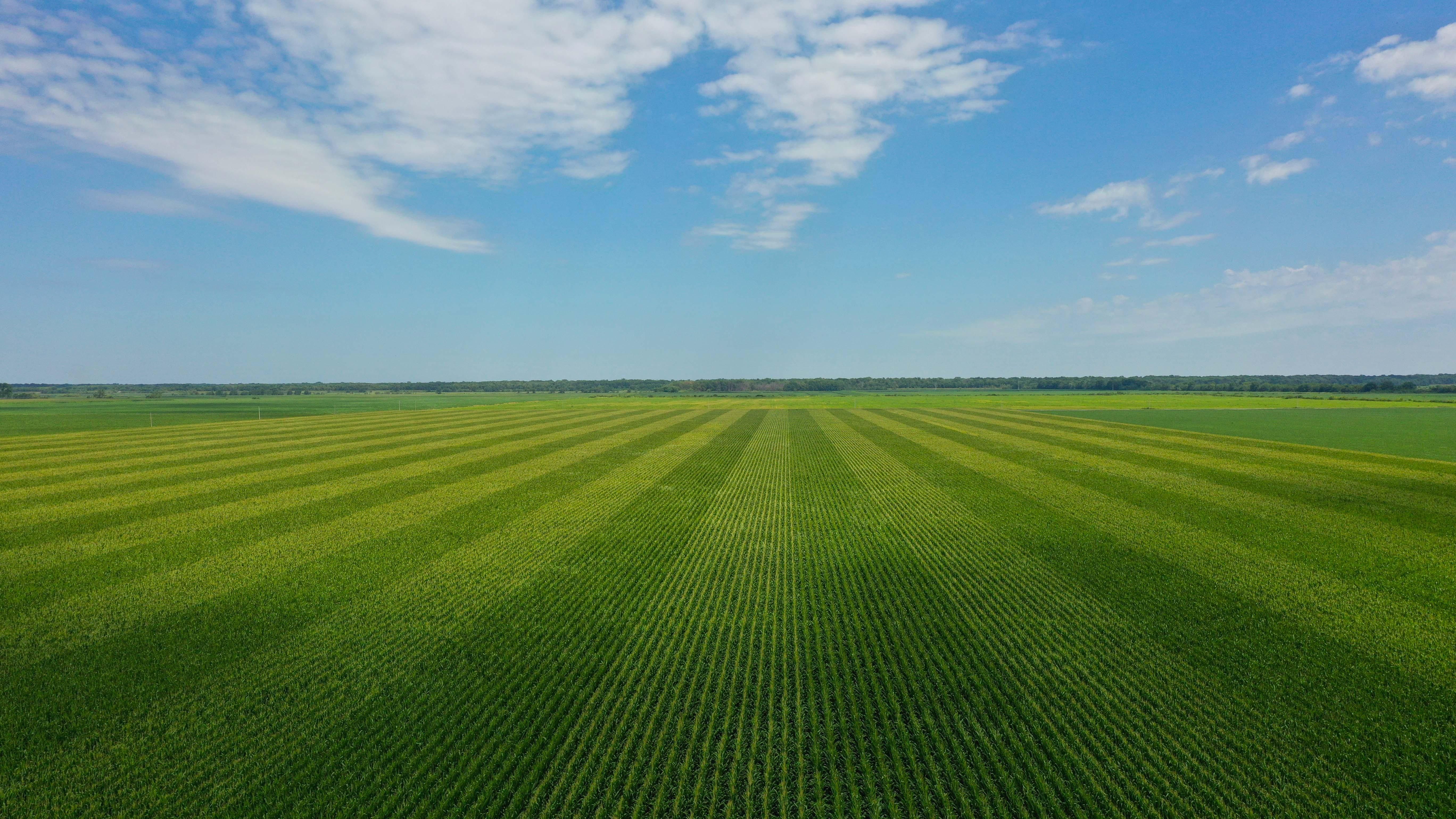 441 acres in Chariton County, Missouri