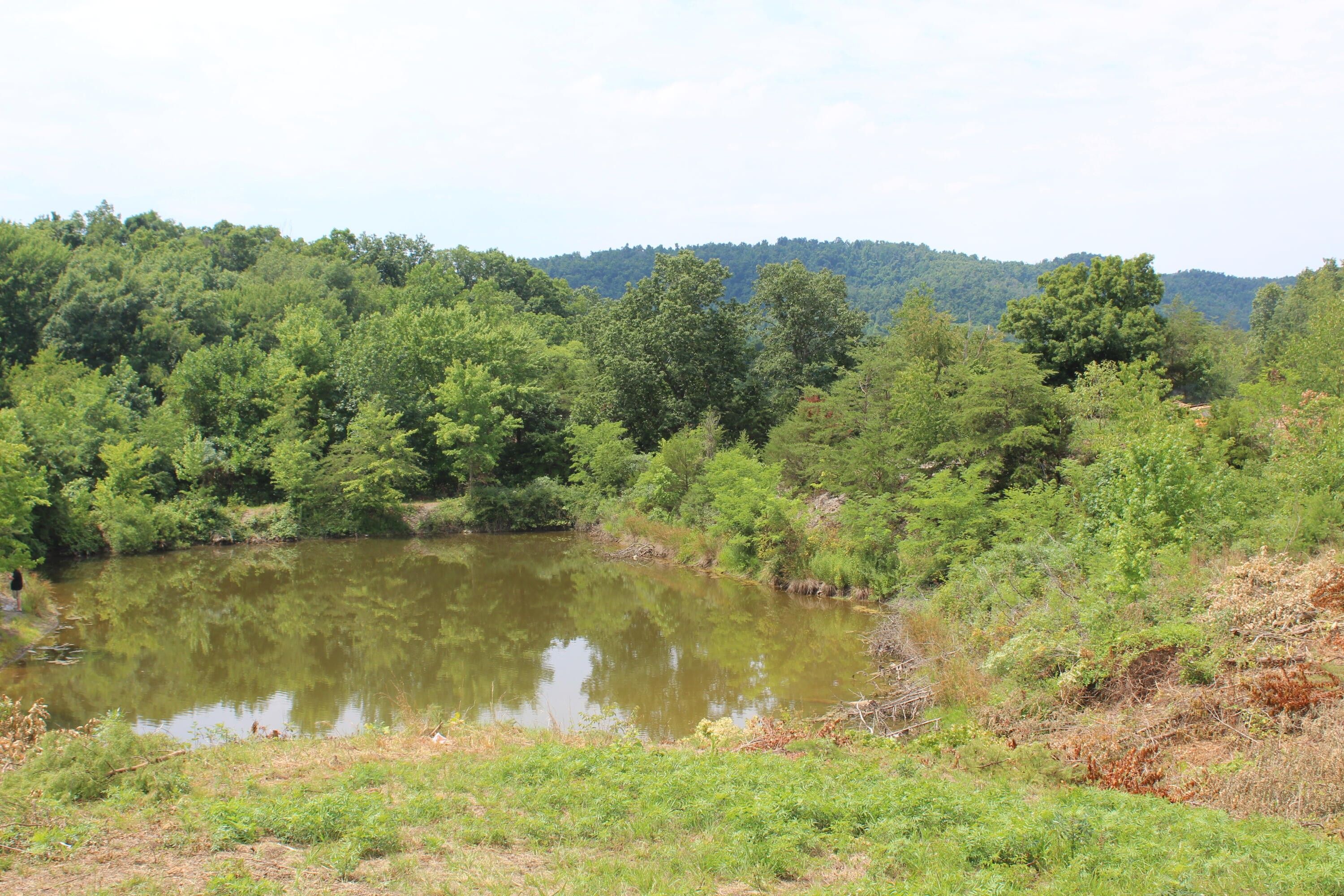 40 acres in Estill County, Kentucky