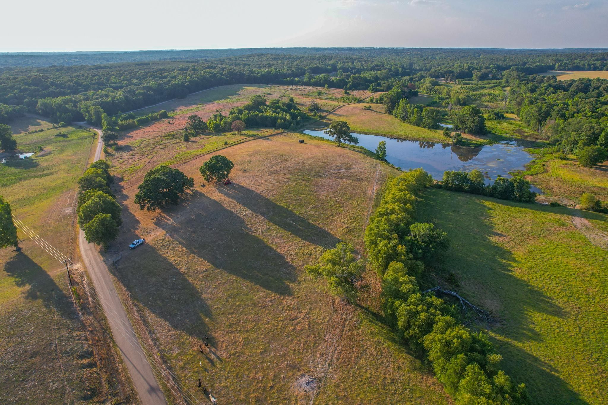 62-acres-in-henderson-county-texas