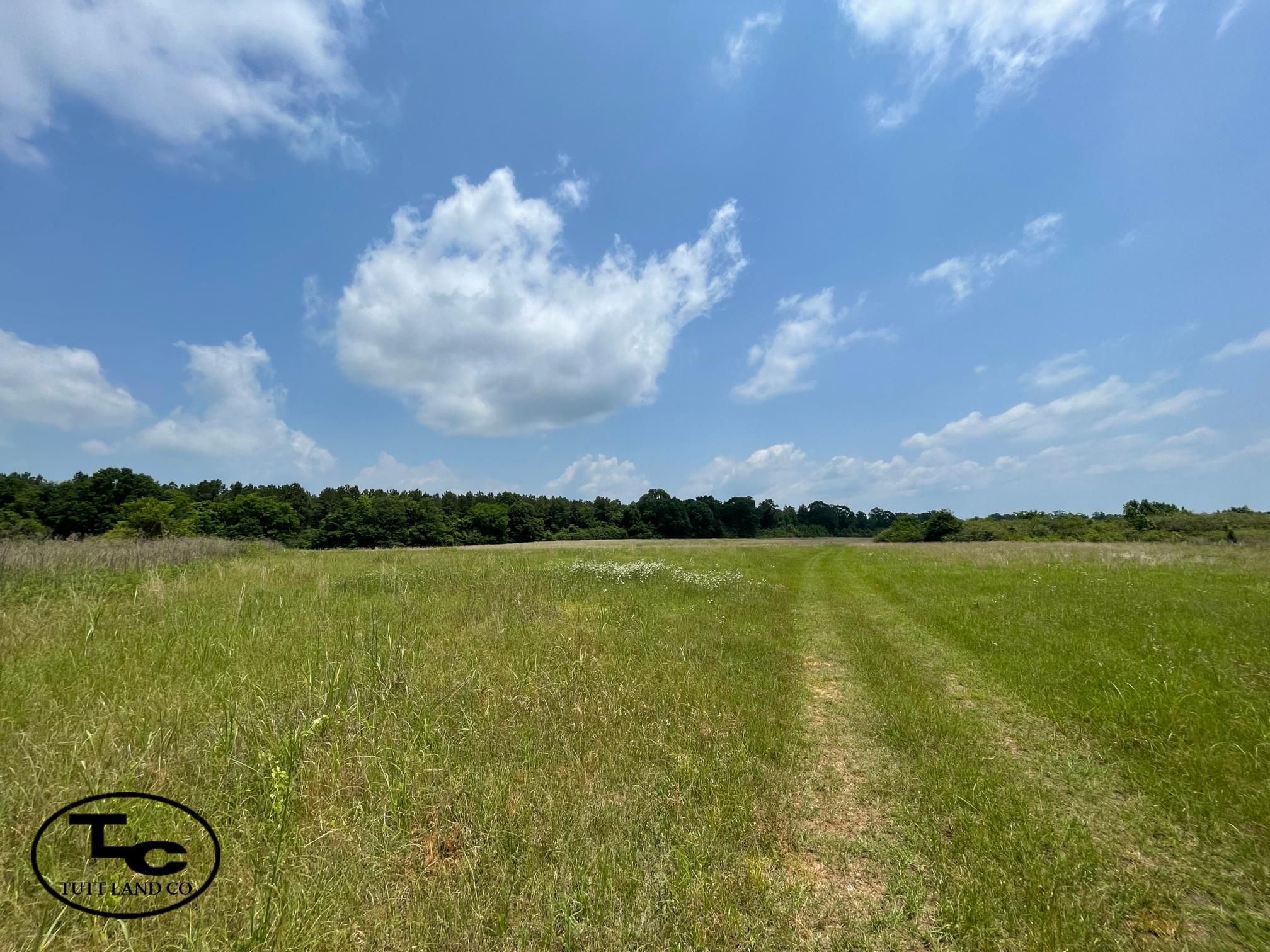 30 acres in Hale County, Alabama