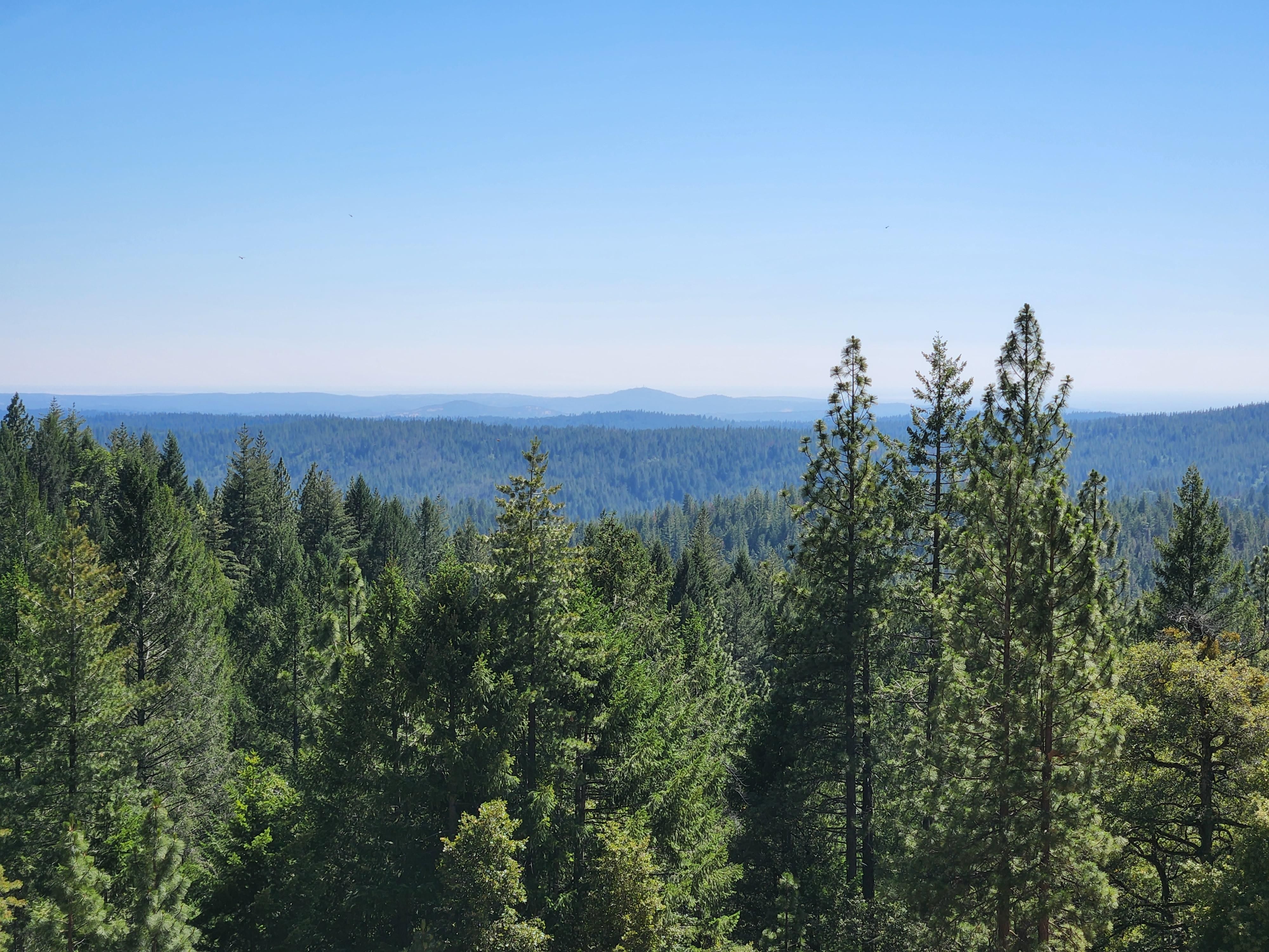 40 acres in El Dorado County, California
