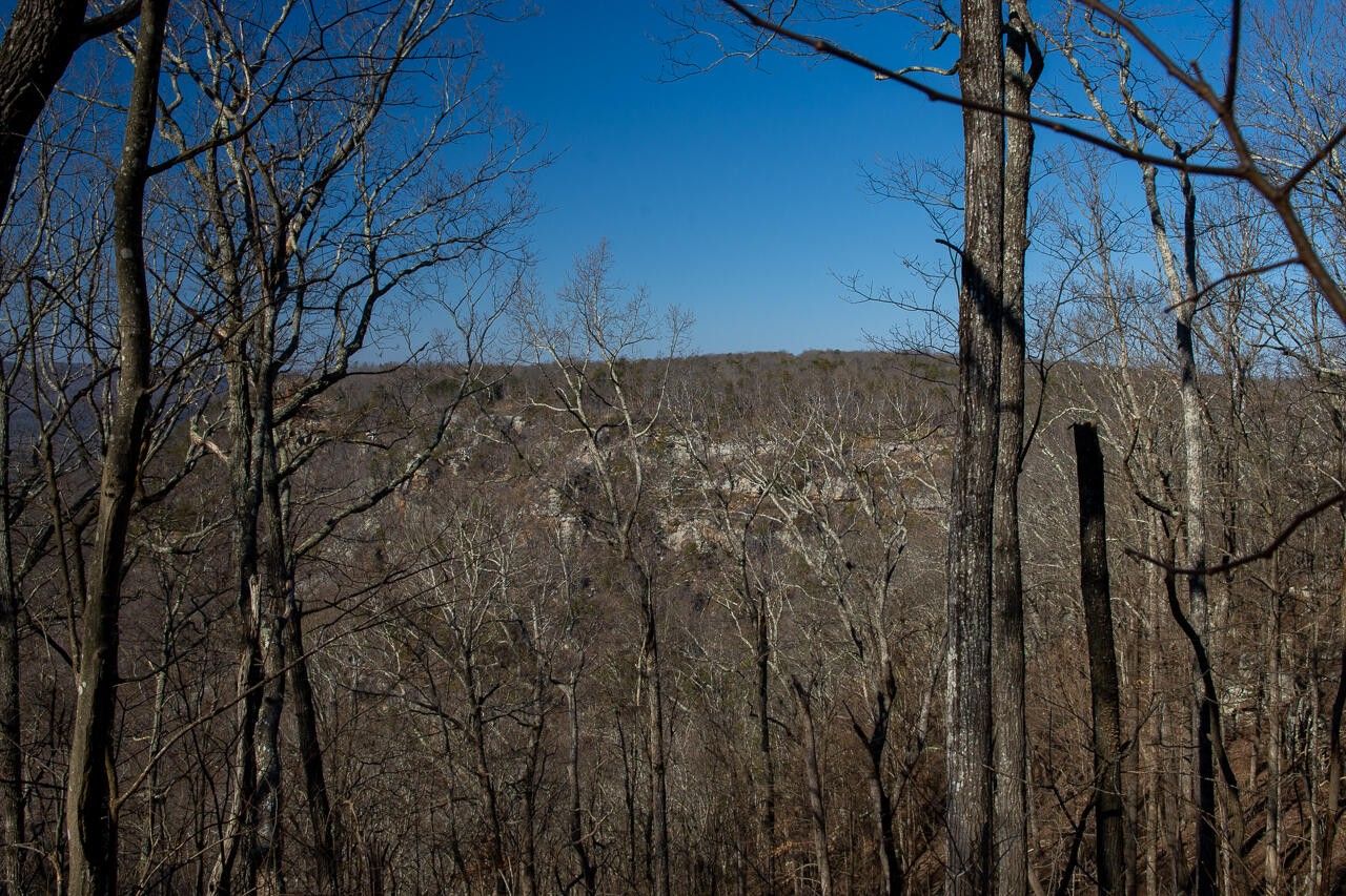 955 Dale Tr, Cloudland, GA 30731 MLS 1359267