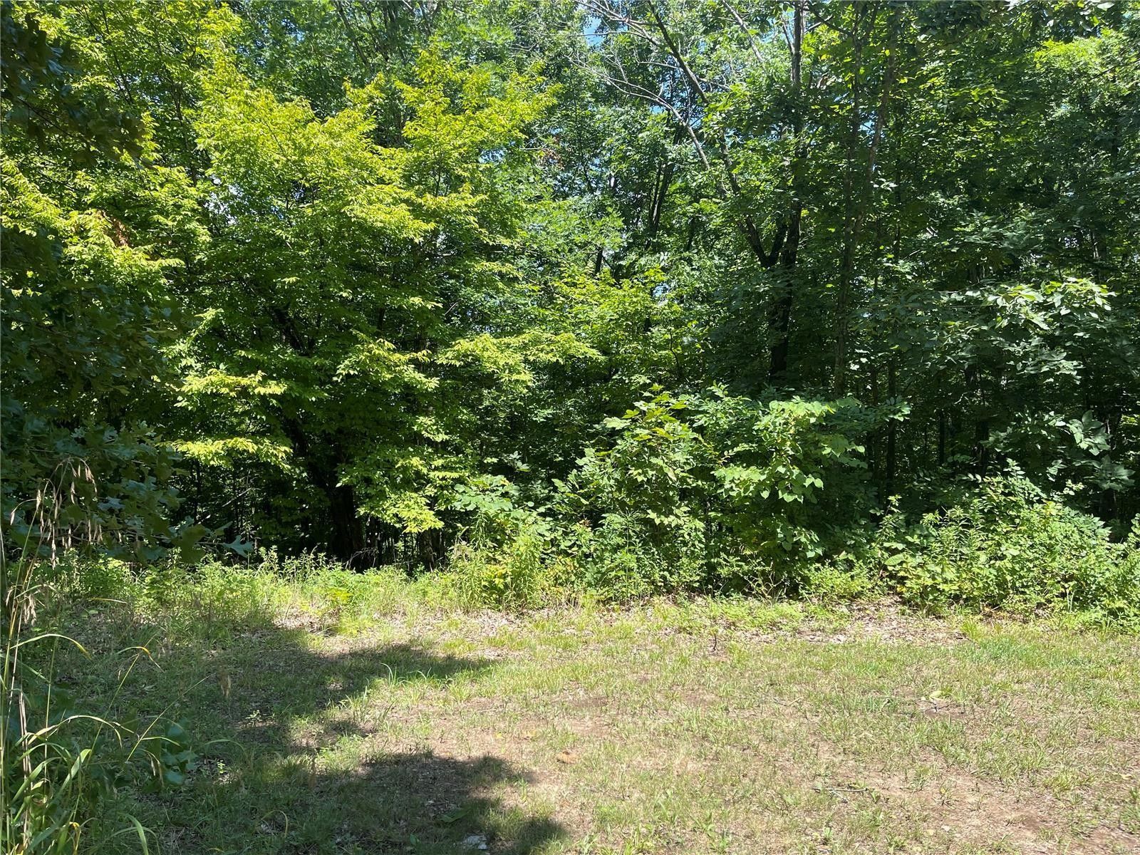 7 acres in Bollinger County, Missouri