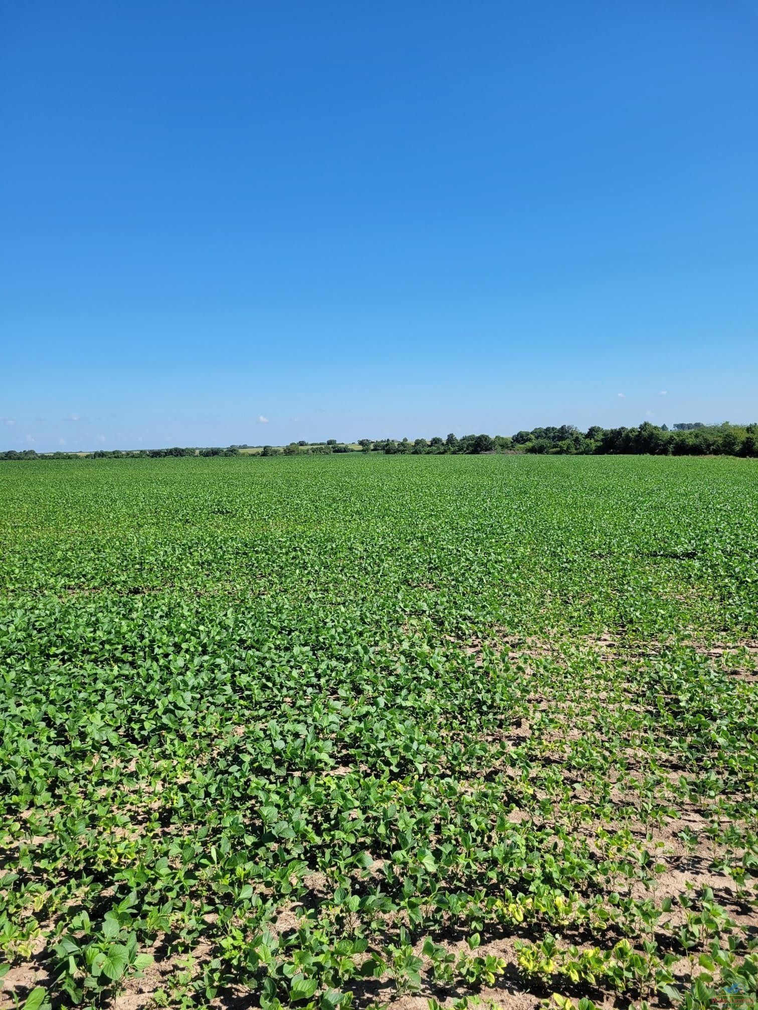 233.7 acres in Pettis County, Missouri