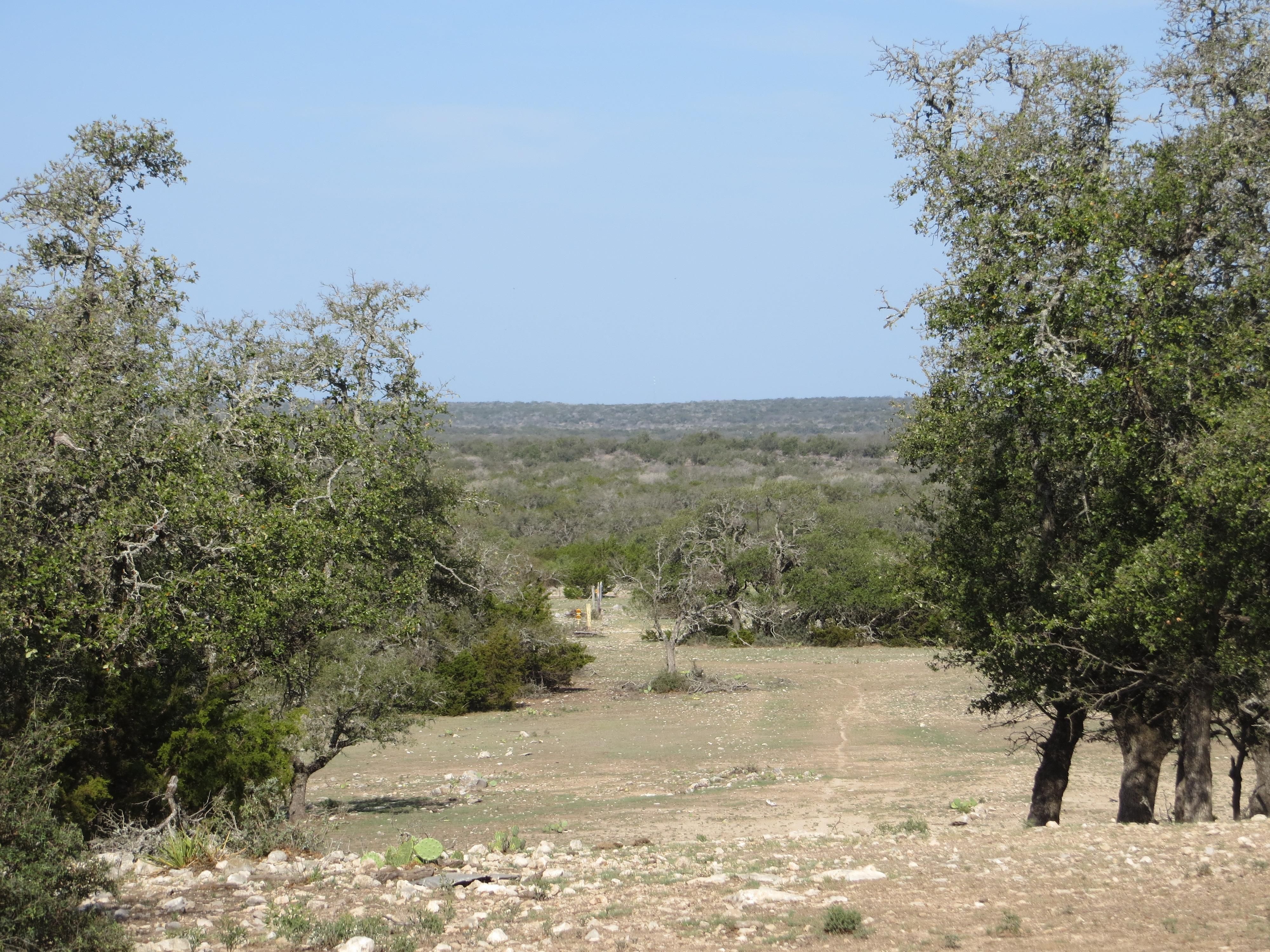 343 acres in Menard County, Texas
