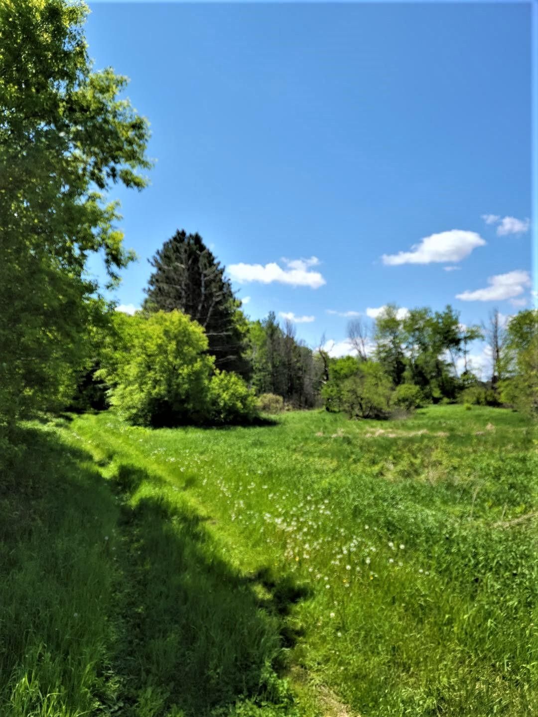 40 acres in Barron County, Wisconsin