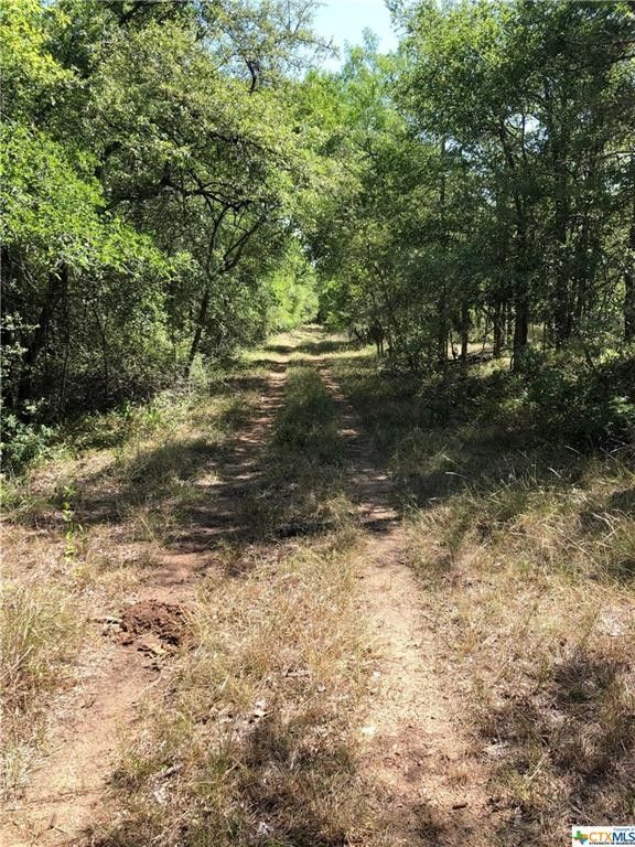 20 acres in Caldwell County, Texas