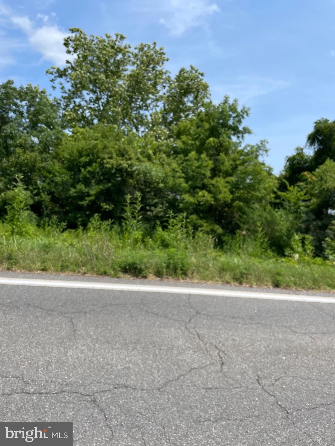 35 acres in Fauquier County, Virginia