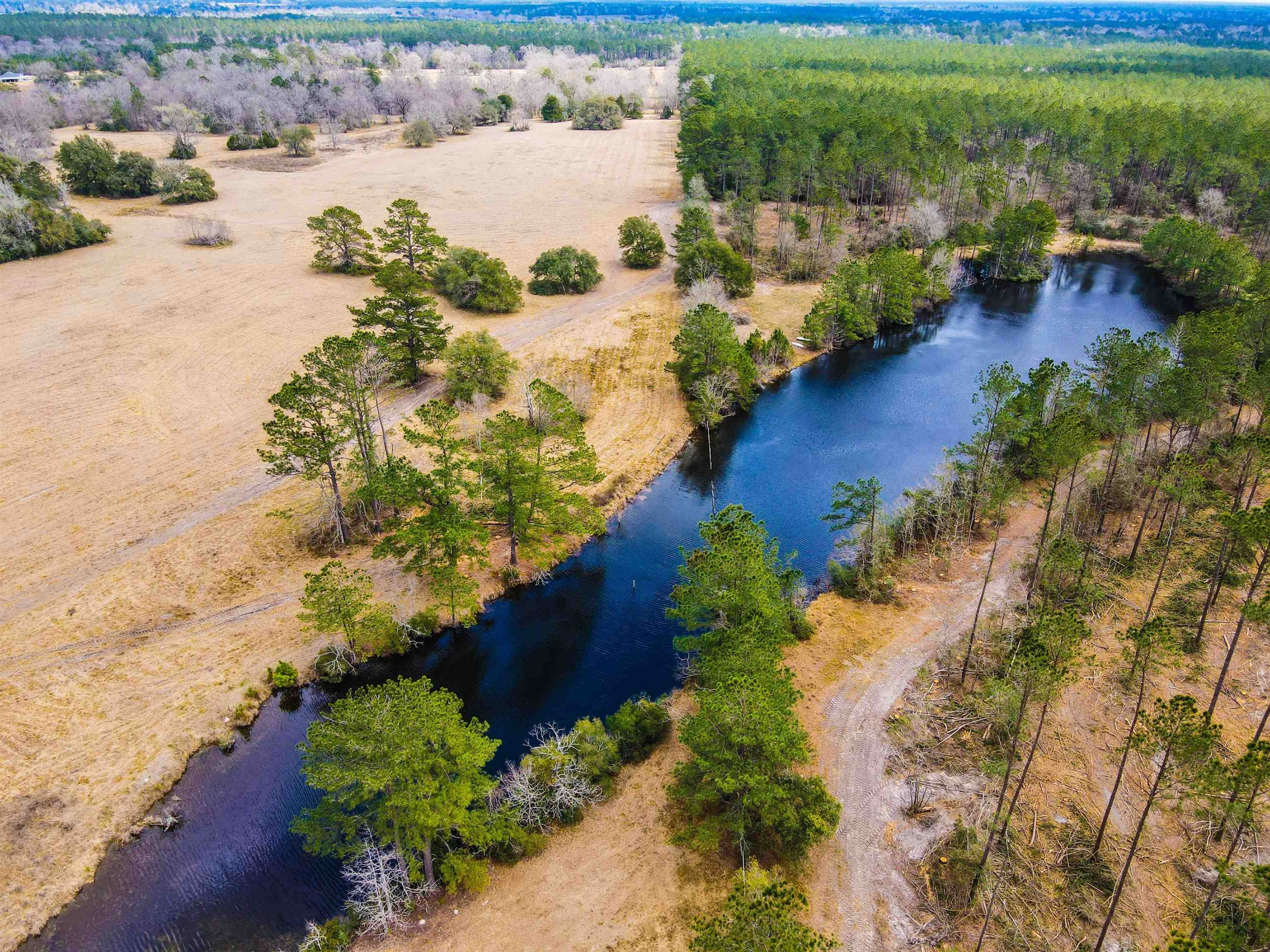 163 acres in Tyler County, Texas