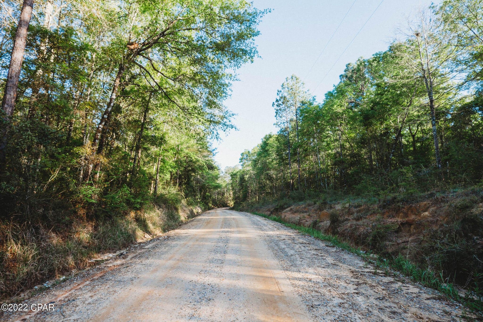 40 acres in Holmes County, Florida