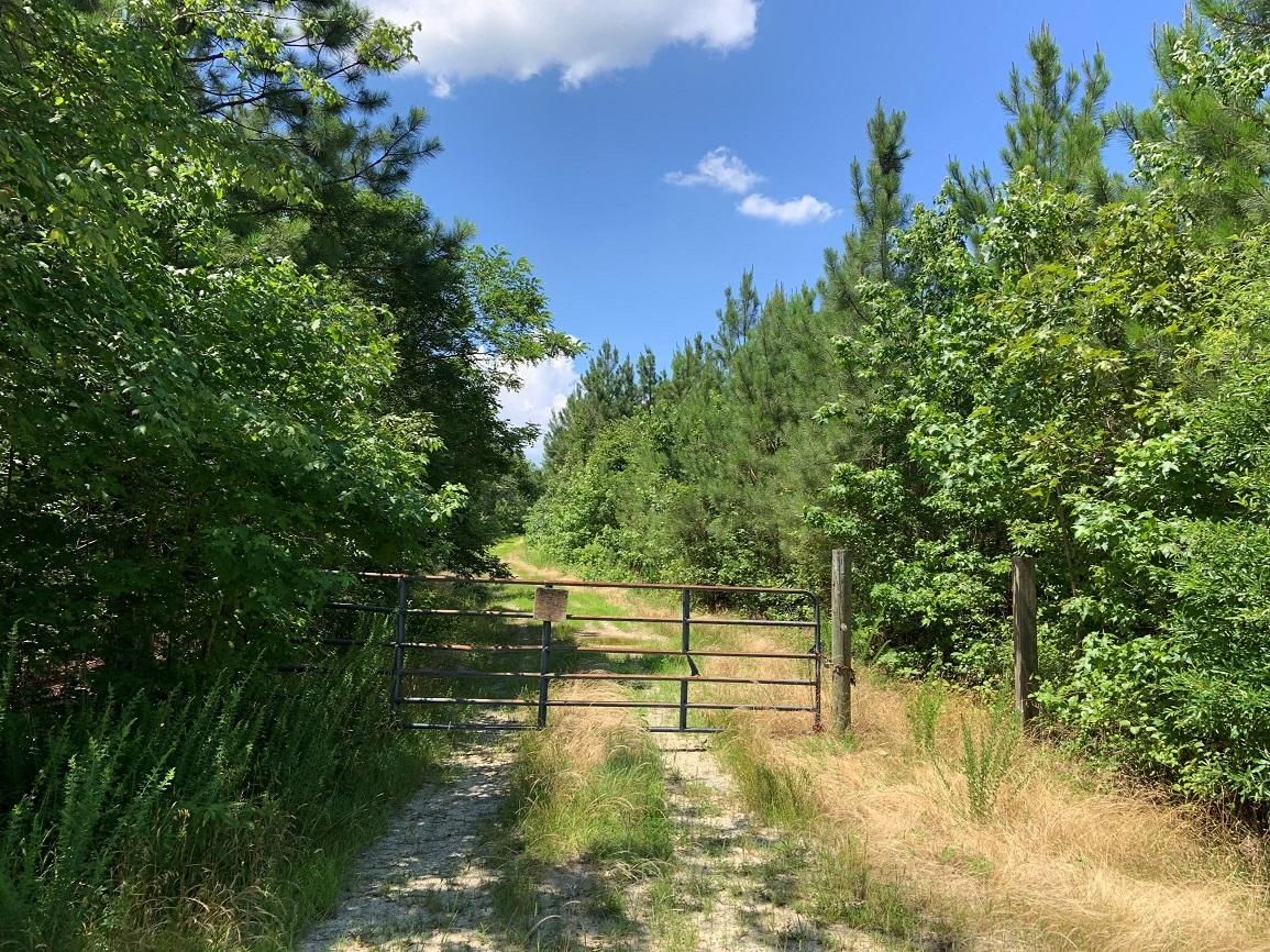 262.8 acres in Westmoreland County, Virginia