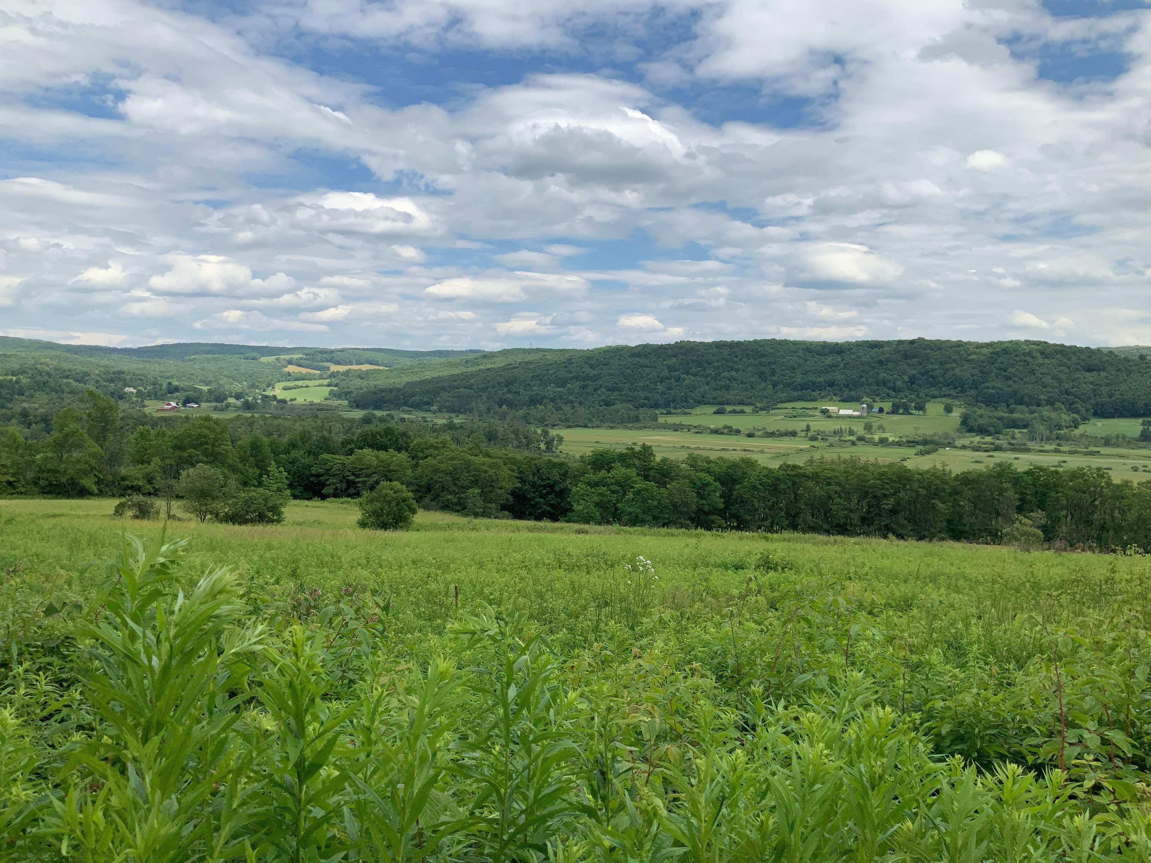 146 acres in Otsego County, New York