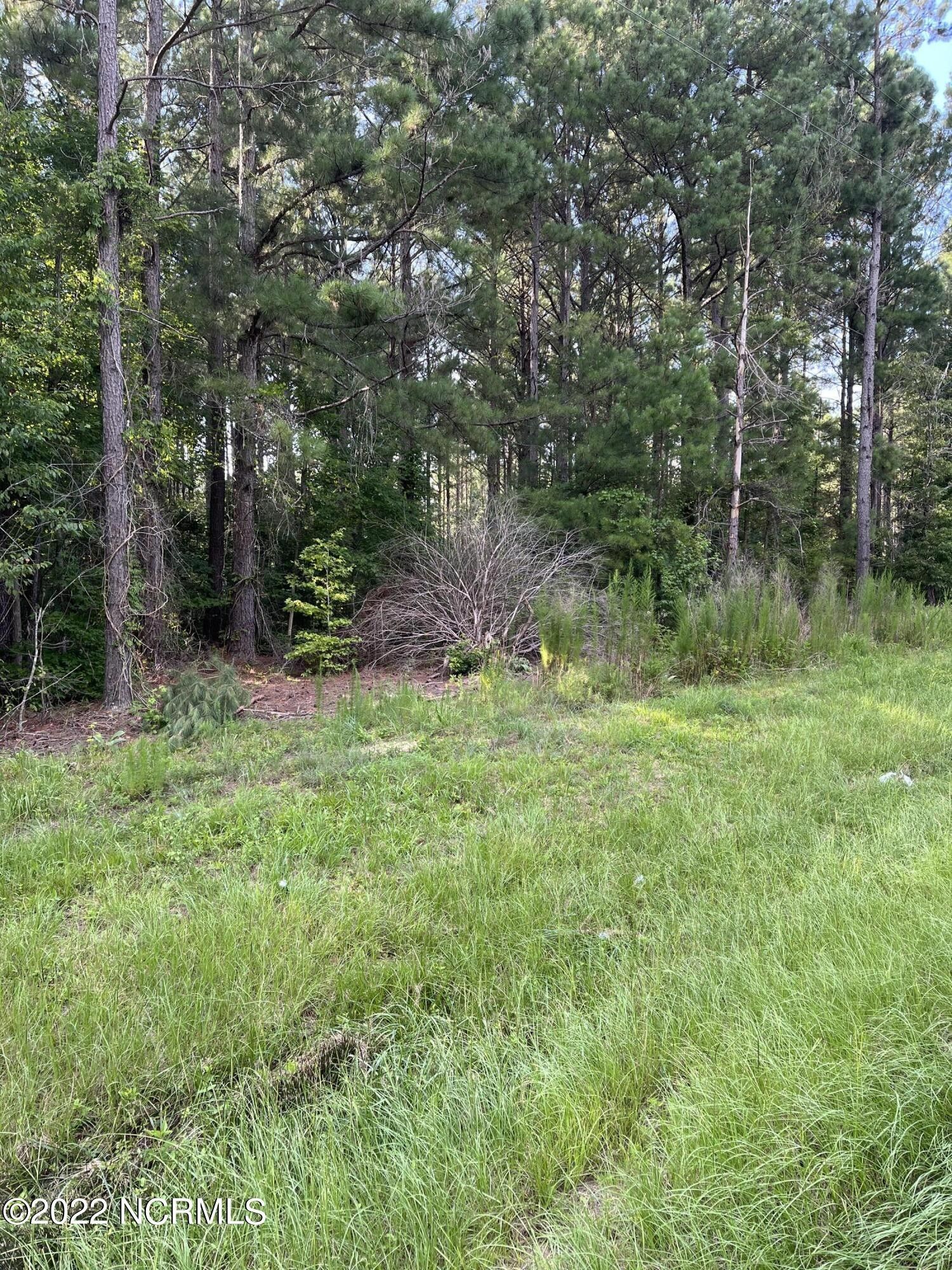 9.7 acres in Richmond County, North Carolina