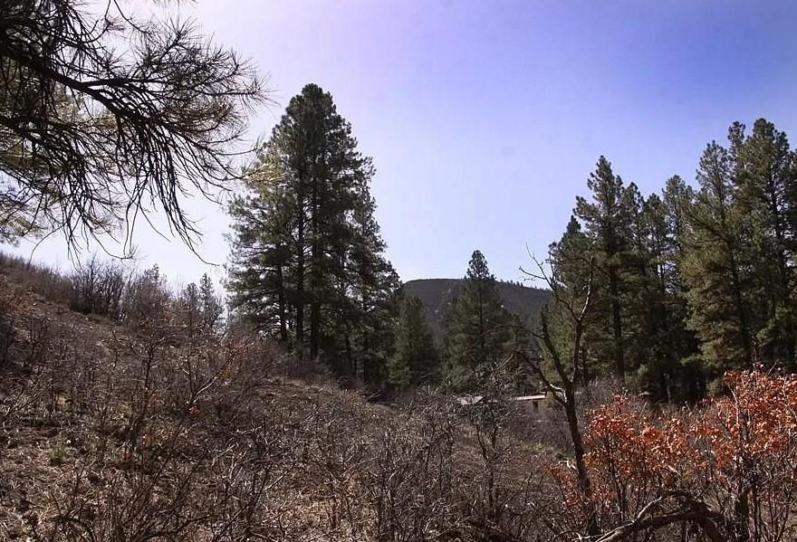 1.8 acres in Archuleta County, Colorado