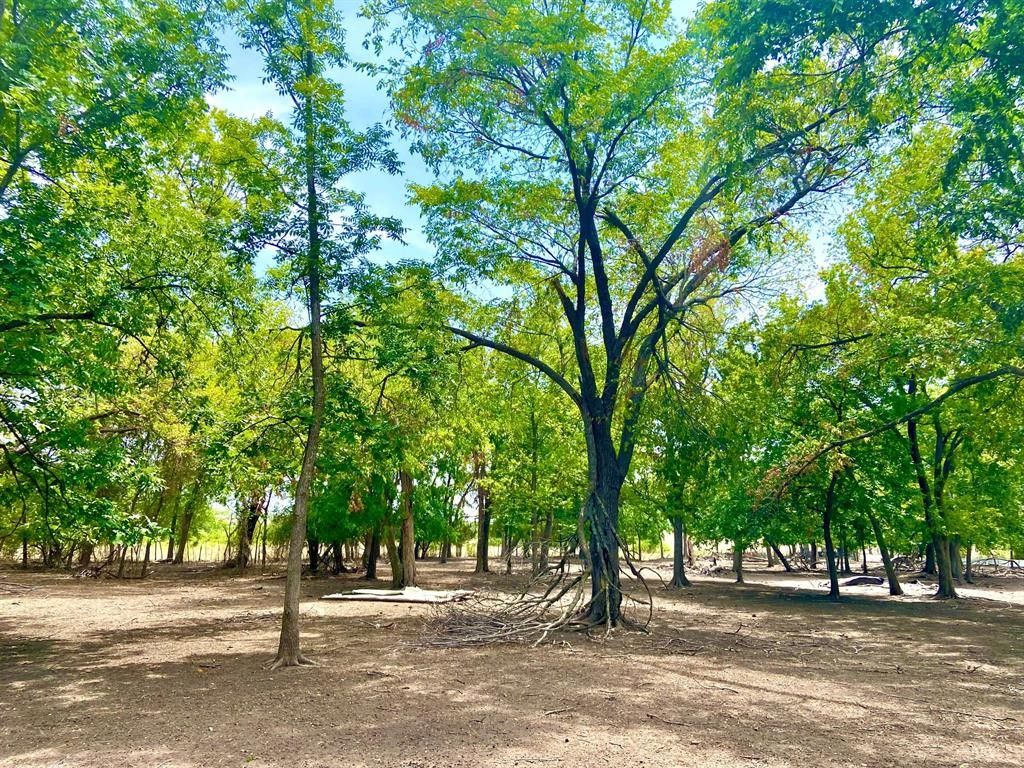 2 acres in Coryell County, Texas